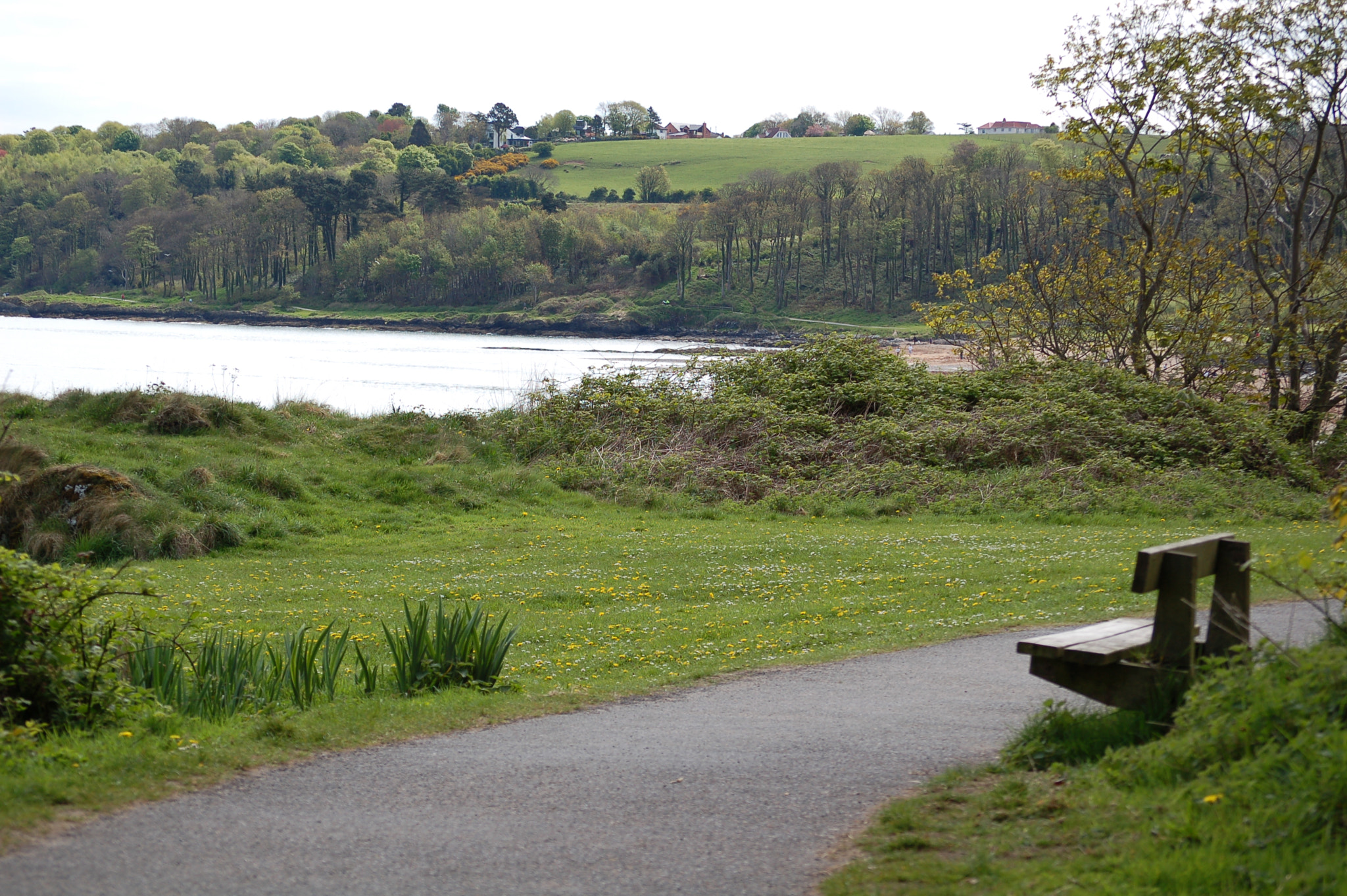 Nikon D50 sample photo. Tranquil photography