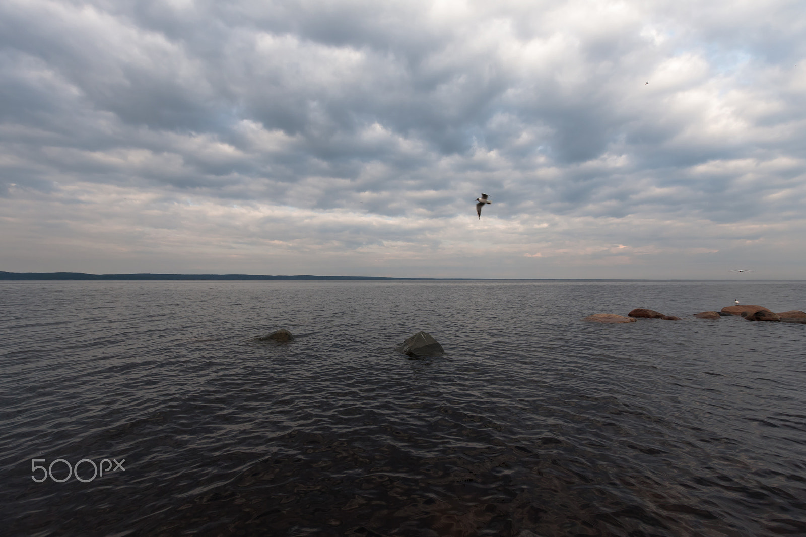 Sigma 10-20mm F3.5 EX DC HSM sample photo. Простор photography
