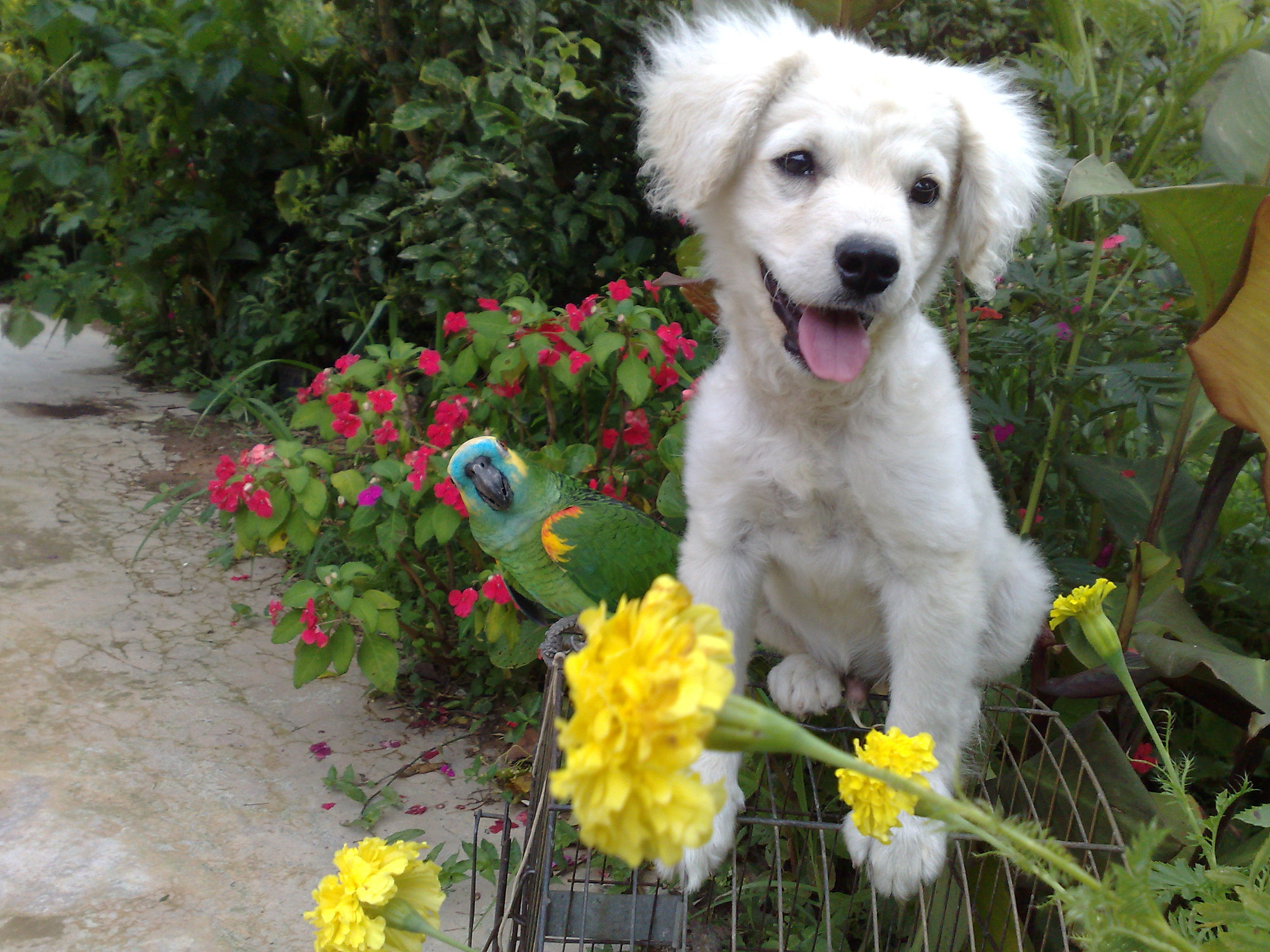 Nokia N95 sample photo. Animal photography