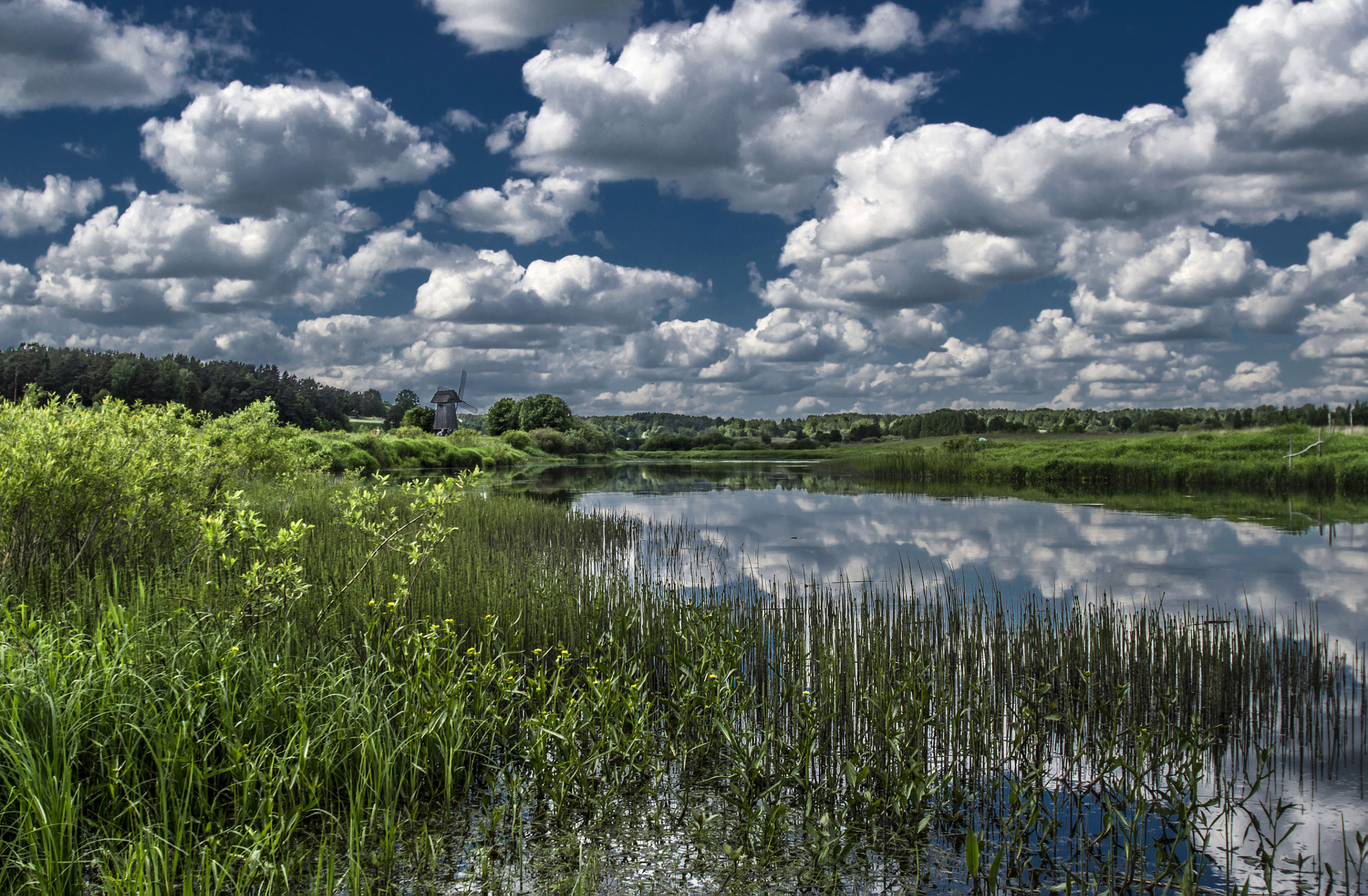 Pentax K-30 sample photo. Colors of the summer photography