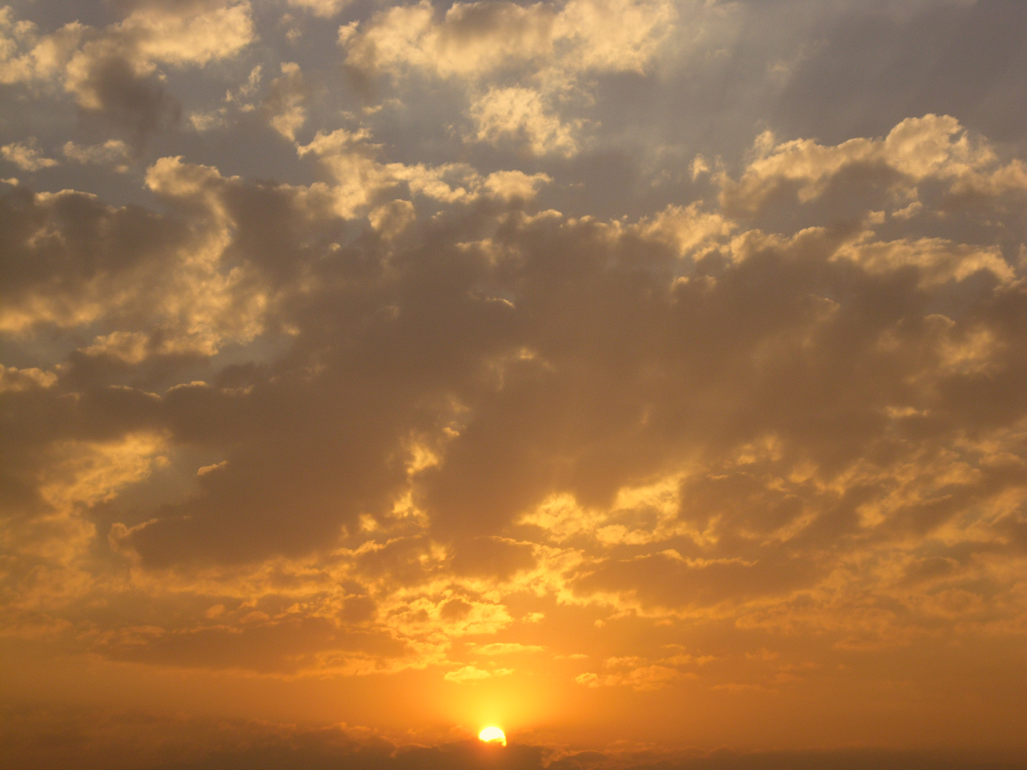 Samsung PL90/VLUU PL90 sample photo. Sam_1609.jpg photography