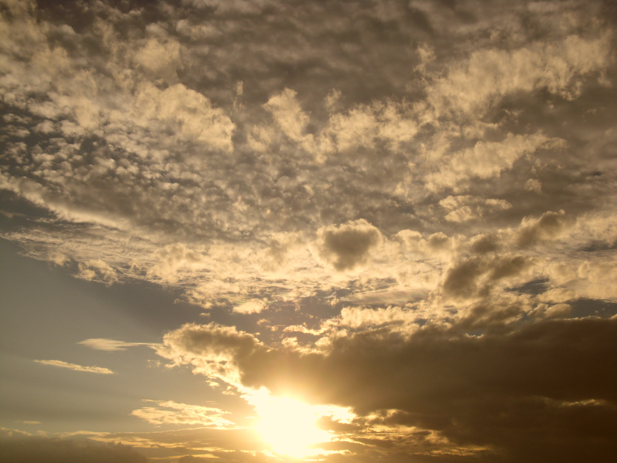 Samsung PL90/VLUU PL90 sample photo. Sam_1695.jpg photography