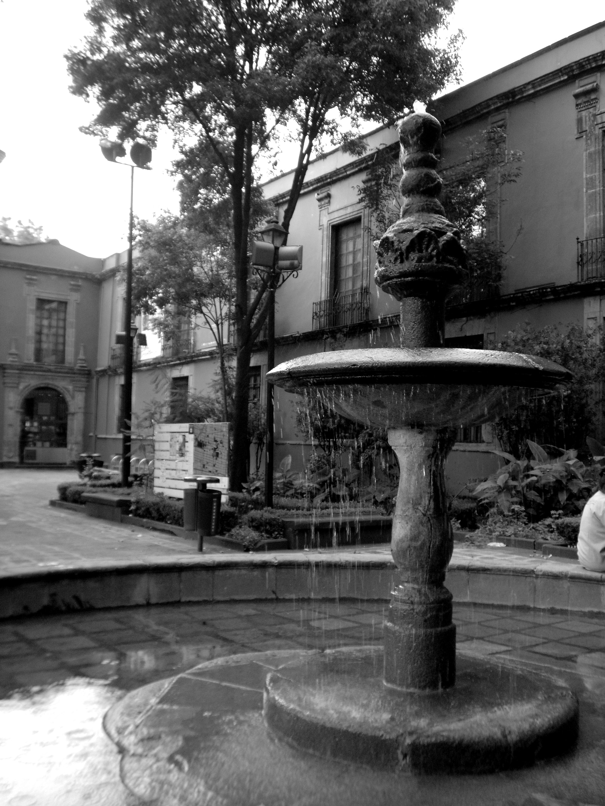 Samsung PL90/VLUU PL90 sample photo. Una experiencia unica photography
