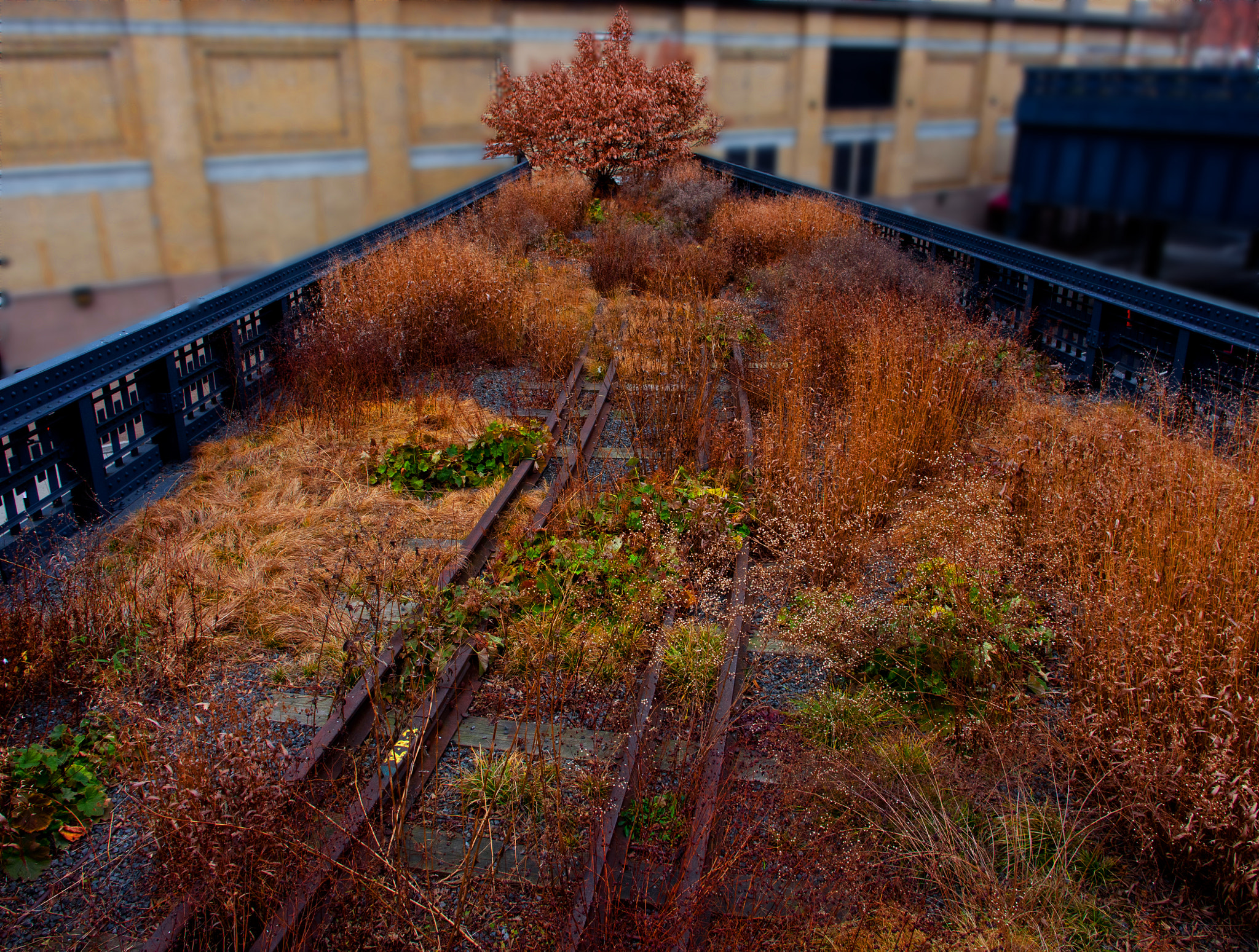 Olympus PEN E-PL5 + OLYMPUS M.12mm F2.0 sample photo. Cornered photography