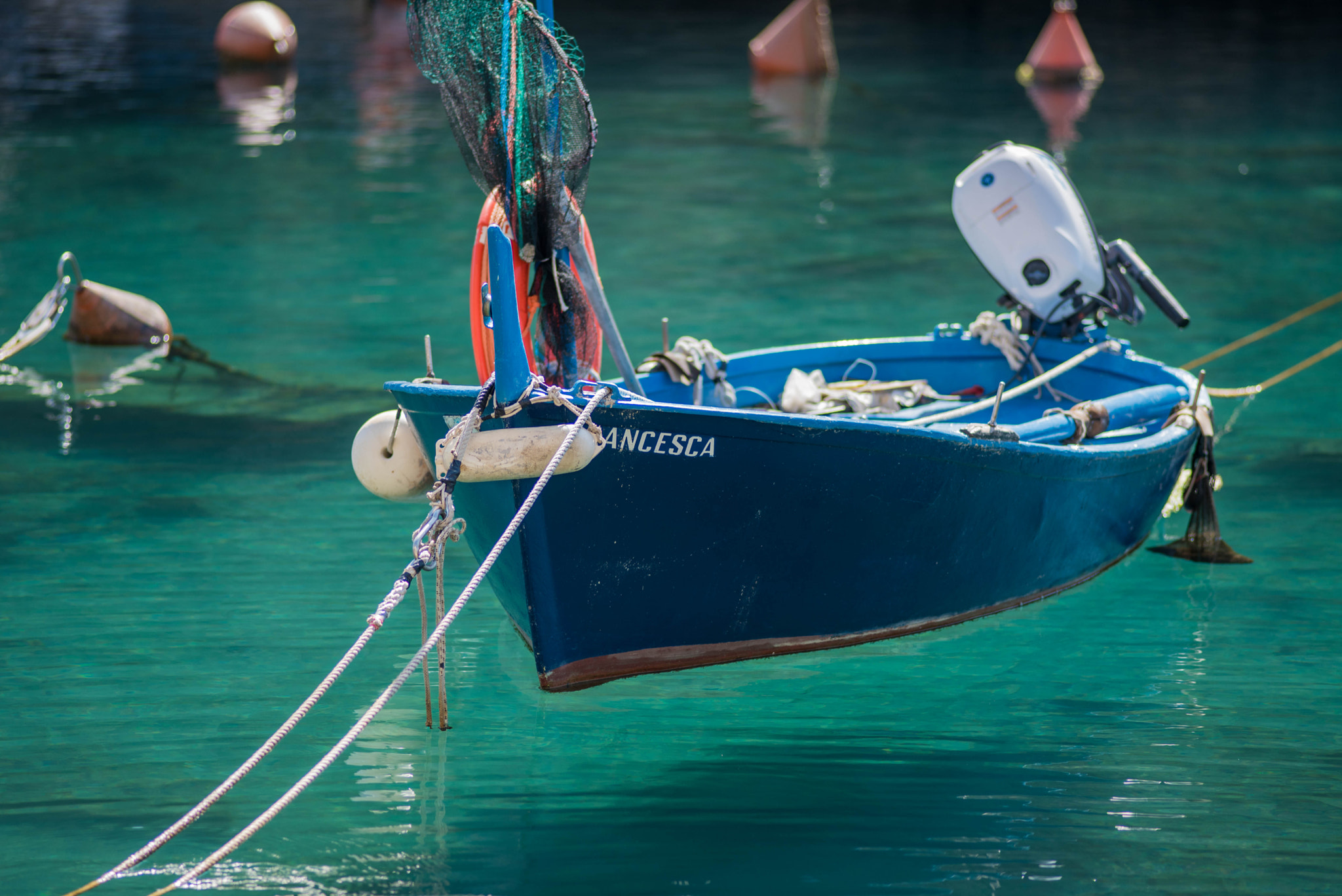 AF Nikkor 180mm f/2.8 IF-ED sample photo. Trasparenze photography