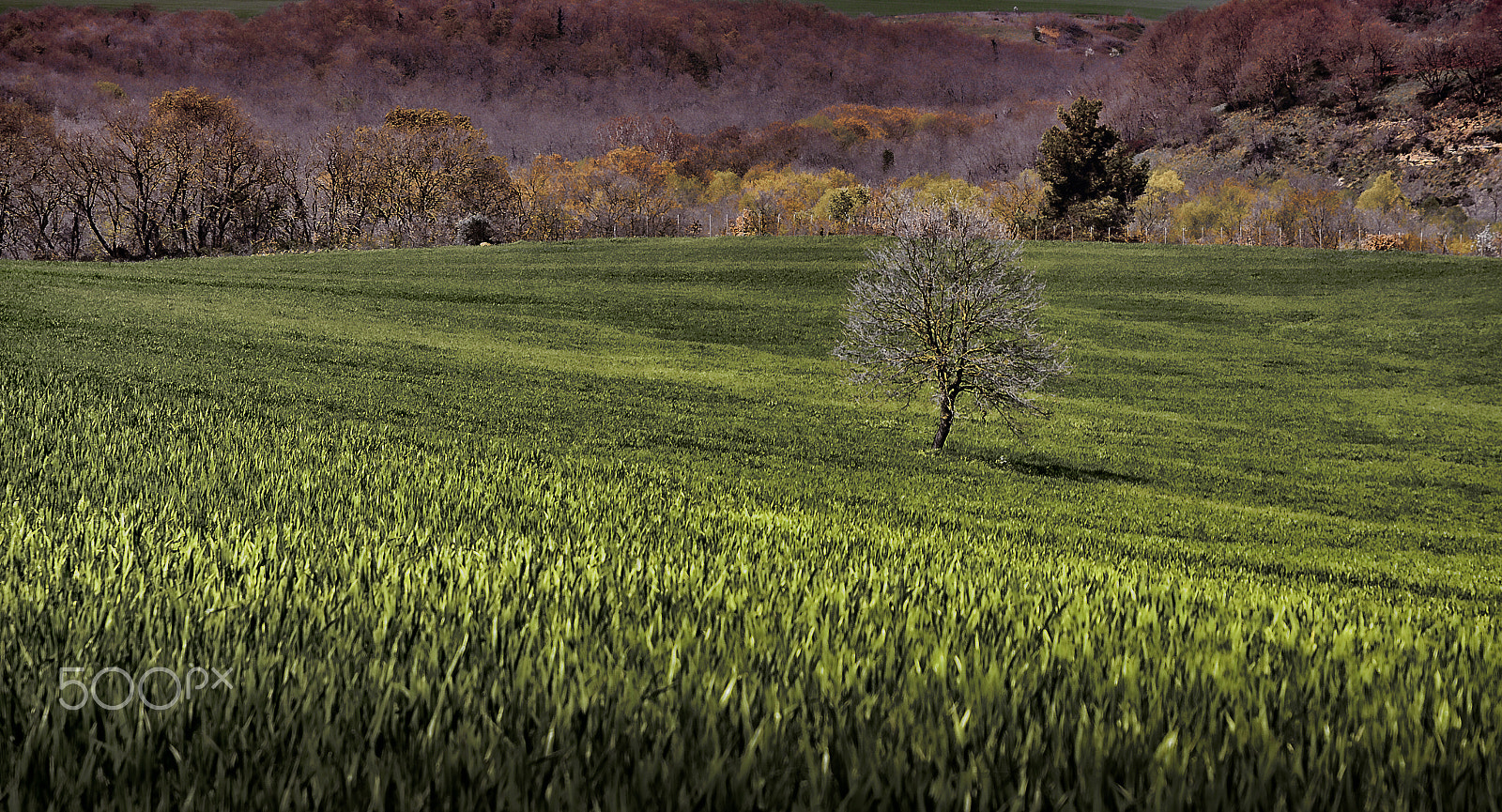 Nikon D7100 + Nikon AF Fisheye-Nikkor 16mm F2.8D sample photo. Solo alla diga saglioccia photography