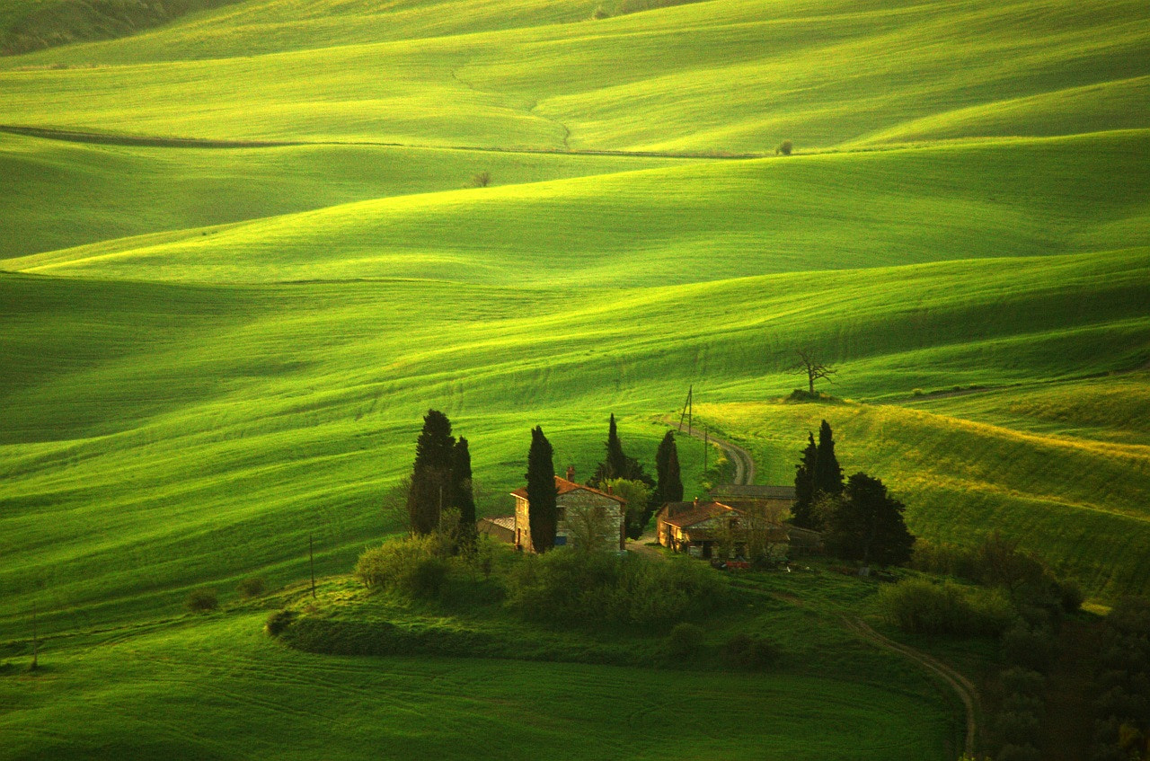 Pentax K10D + smc PENTAX-FA 100-300mm F4.7-5.8 sample photo. Green fields of tuscany photography