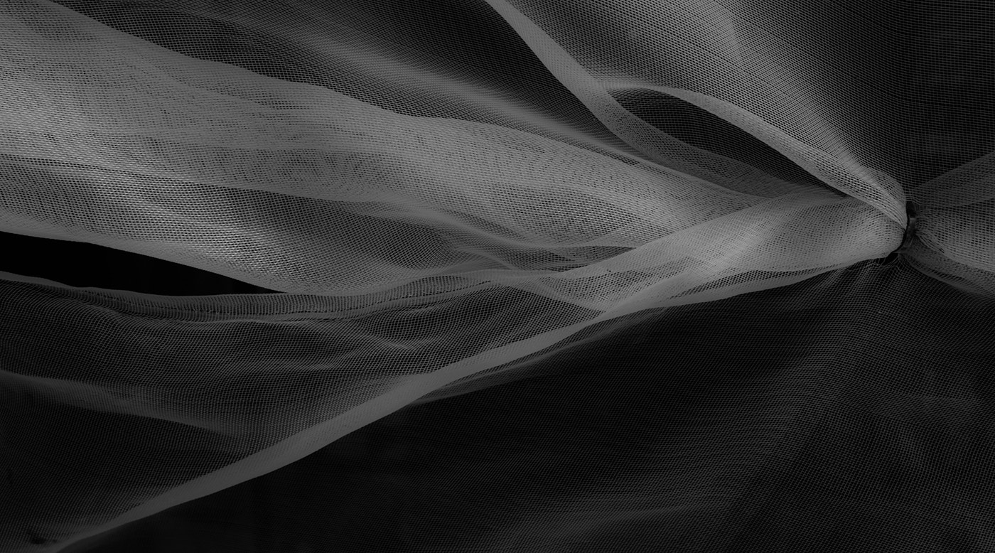 ZEISS Touit 32mm F1.8 sample photo. Binding photography