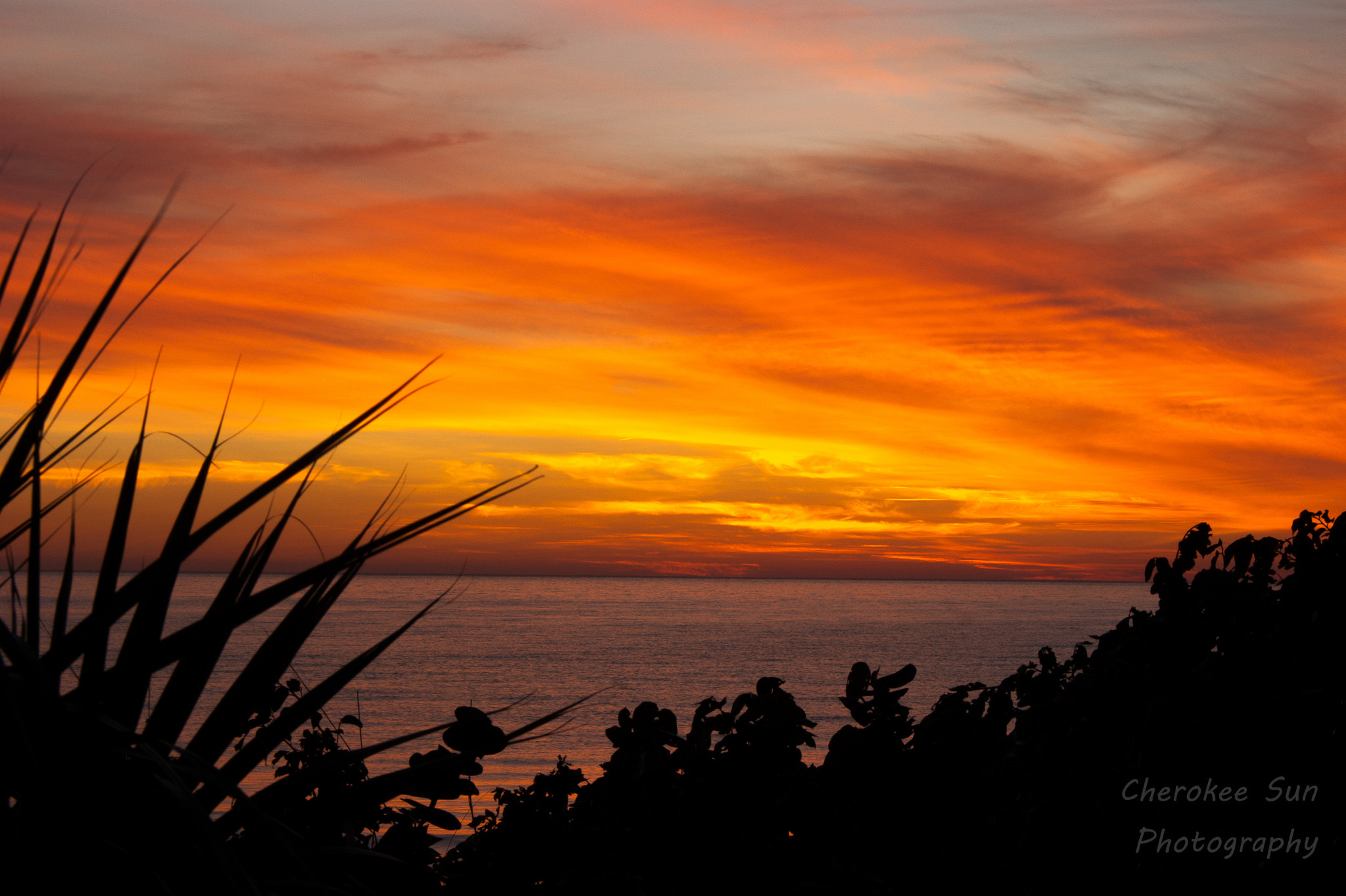 Sony Alpha DSLR-A390 sample photo. Treasure island sunset afterglow photography