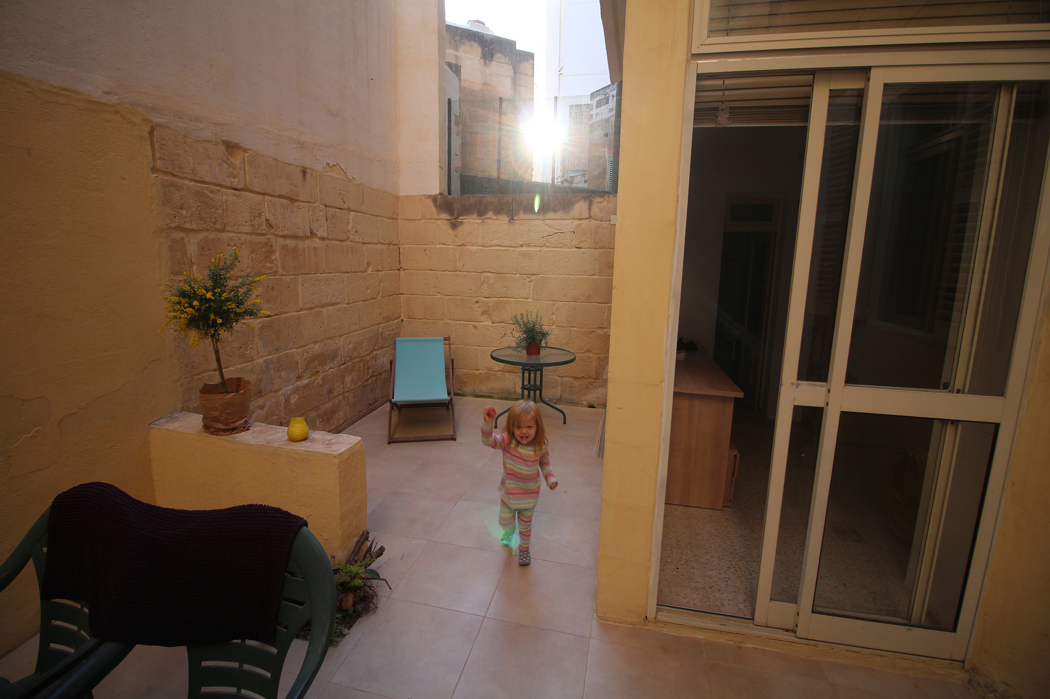 Canon EF-S 10-18mm F4.5–5.6 IS STM sample photo. Backyard photography