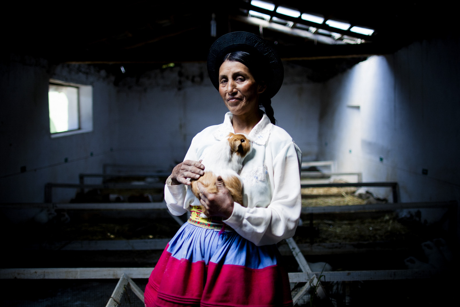 Canon EF 24mm F1.4L II USM sample photo. Criadora de cuys photography