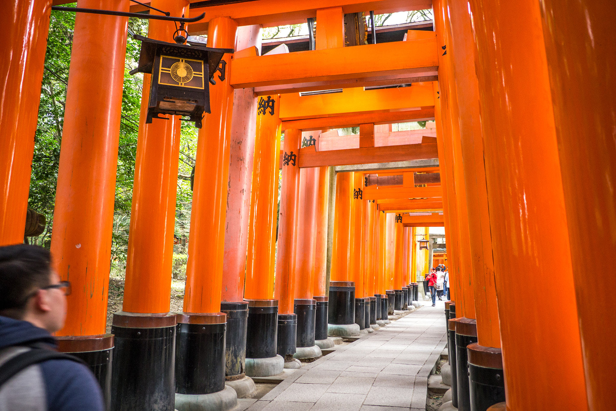 Panasonic Lumix DMC-GX1 + Panasonic Lumix G 14mm F2.5 ASPH sample photo. Torii at fushimi inari in kyoto photography