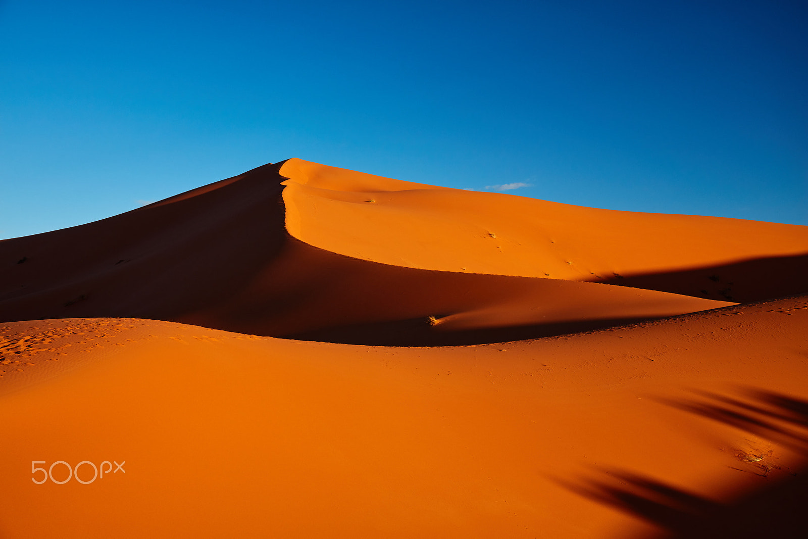 Canon EOS 5DS sample photo. Dunes of sahara desert , morocco photography