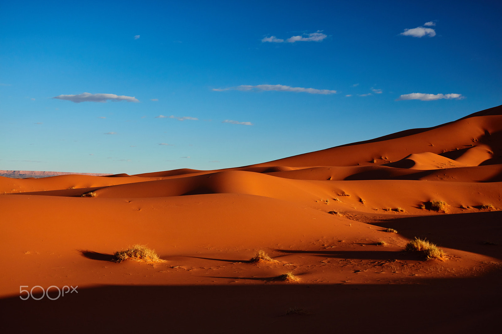 Canon EOS 5DS + Canon EF 24-70mm F4L IS USM sample photo. Dunes of sahara desert , morocco photography