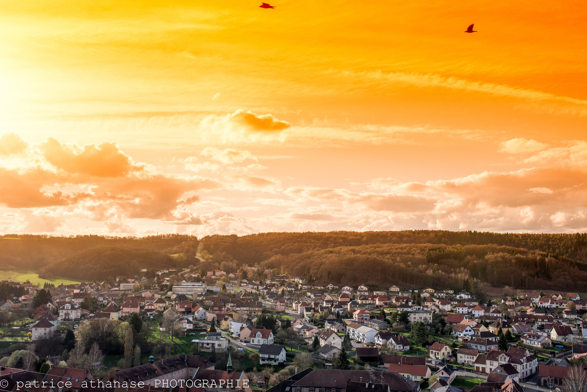 Nikon D610 + AF-S Nikkor 35mm f/1.8G sample photo. Citadelle de bitche/citadelle of bitche photography