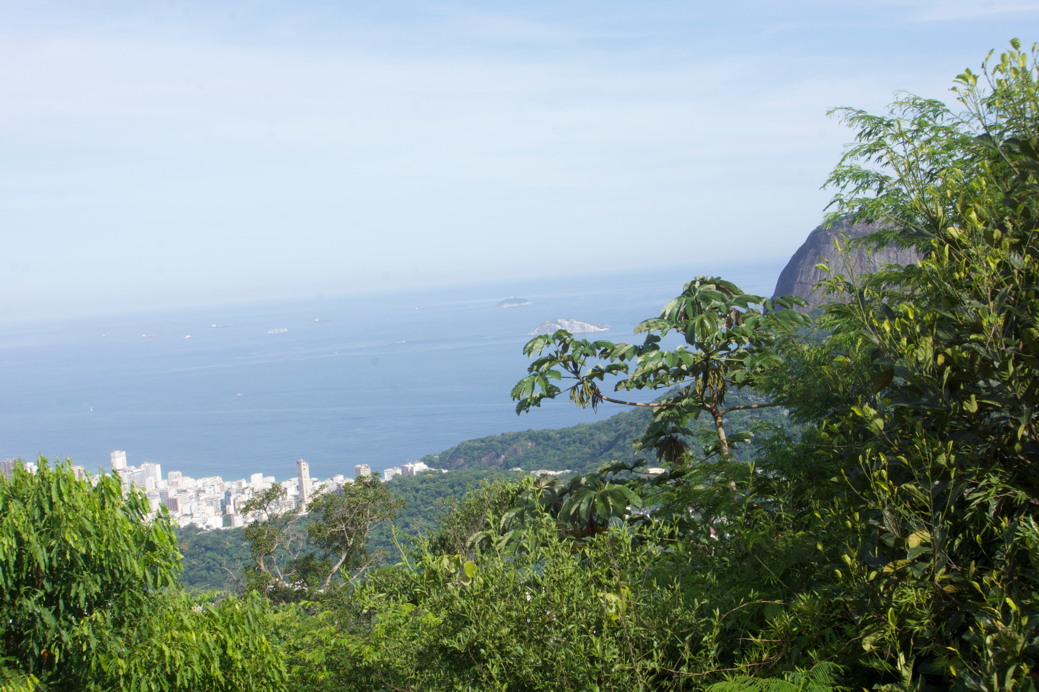 Sony E 18-55mm F3.5-5.6 OSS sample photo. Tijuca national park photography