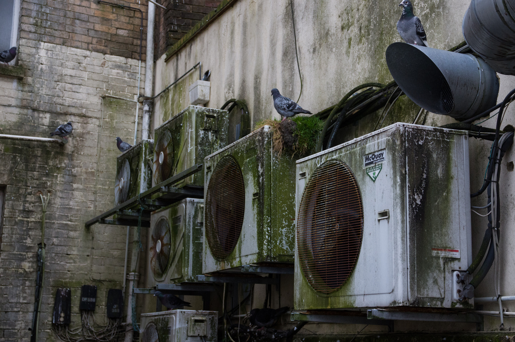 Sigma 17-70mm F2.8-4 DC Macro HSM Contemporary sample photo. Streets of uk photography