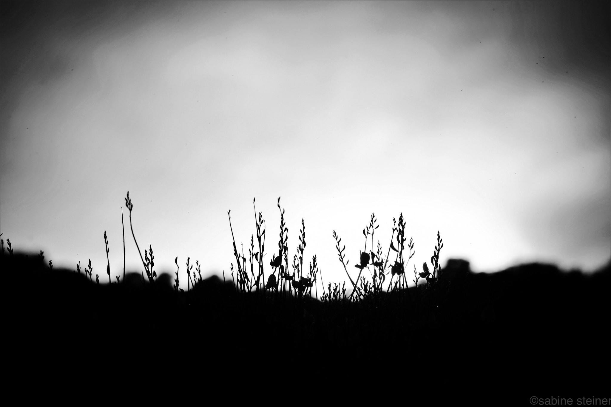 Canon EF 70-300mm F4-5.6 IS USM sample photo. Sunset on the hill photography