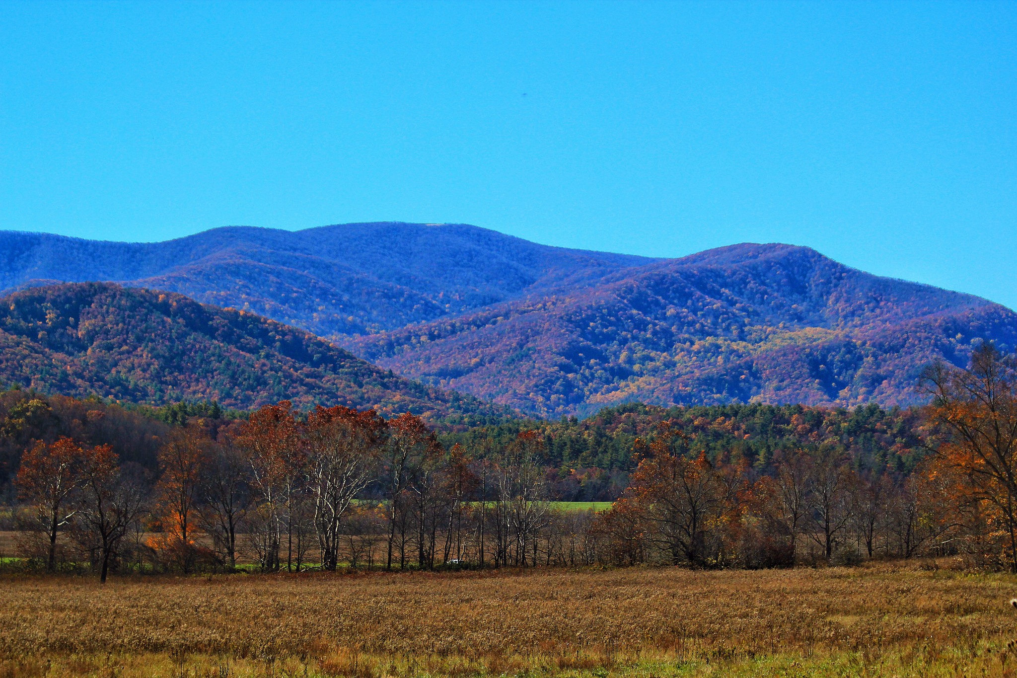 Canon EF 70-300mm F4-5.6 IS USM sample photo. Smokey mountains photography