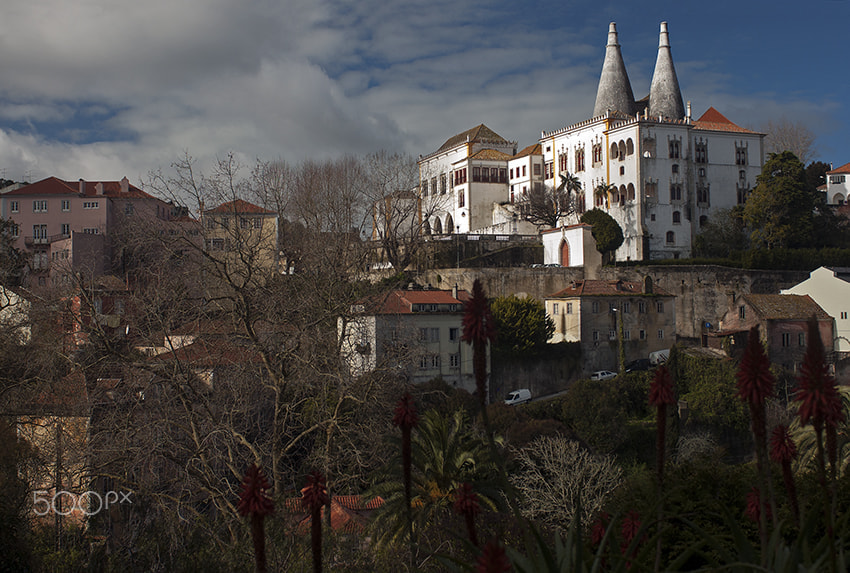 Nikon AF-S Nikkor 28-70mm F2.8 ED-IF sample photo. Sintra photography