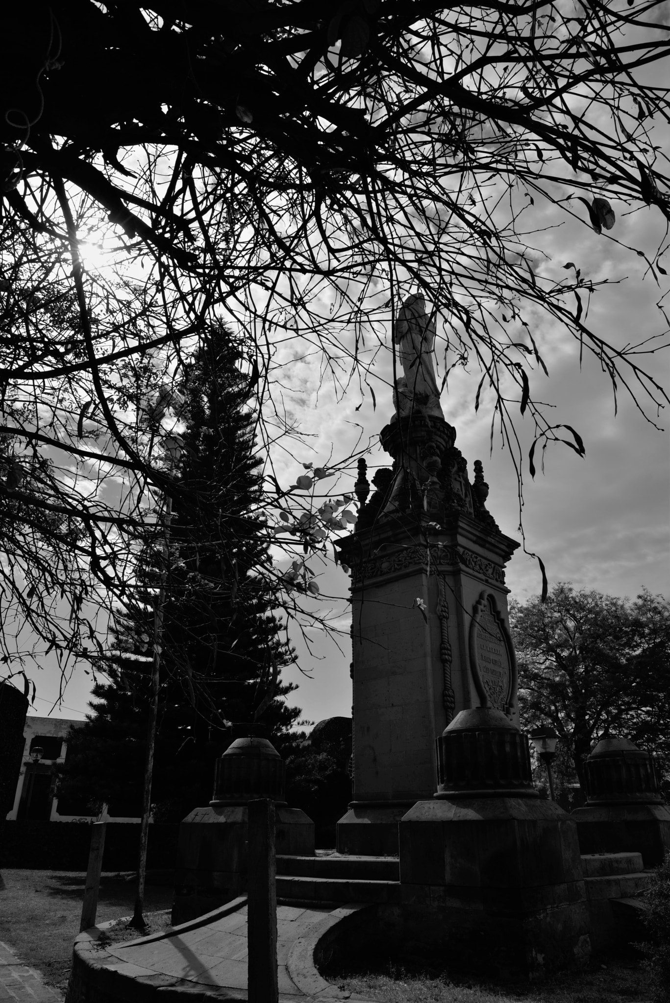Nikon D600 sample photo. _dsc6766.jpg photography