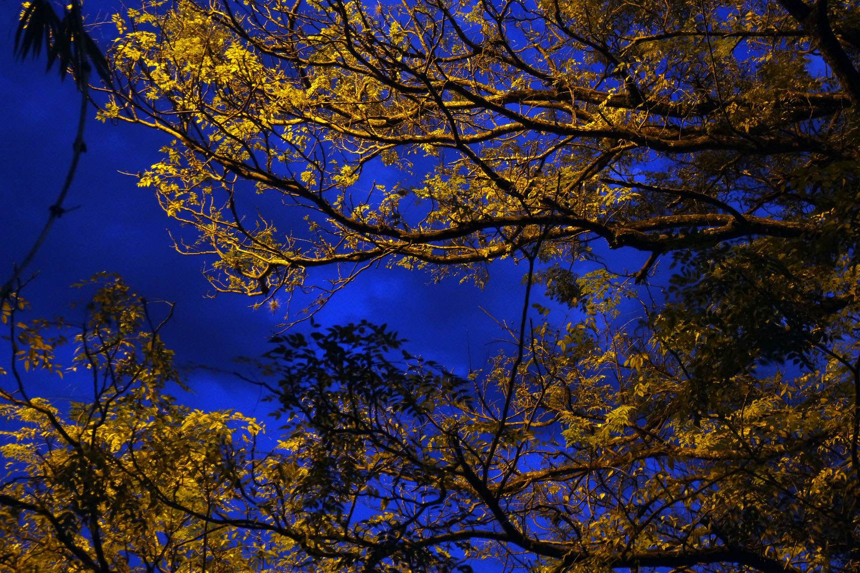 Samsung NX mini sample photo. Entardecer  photography