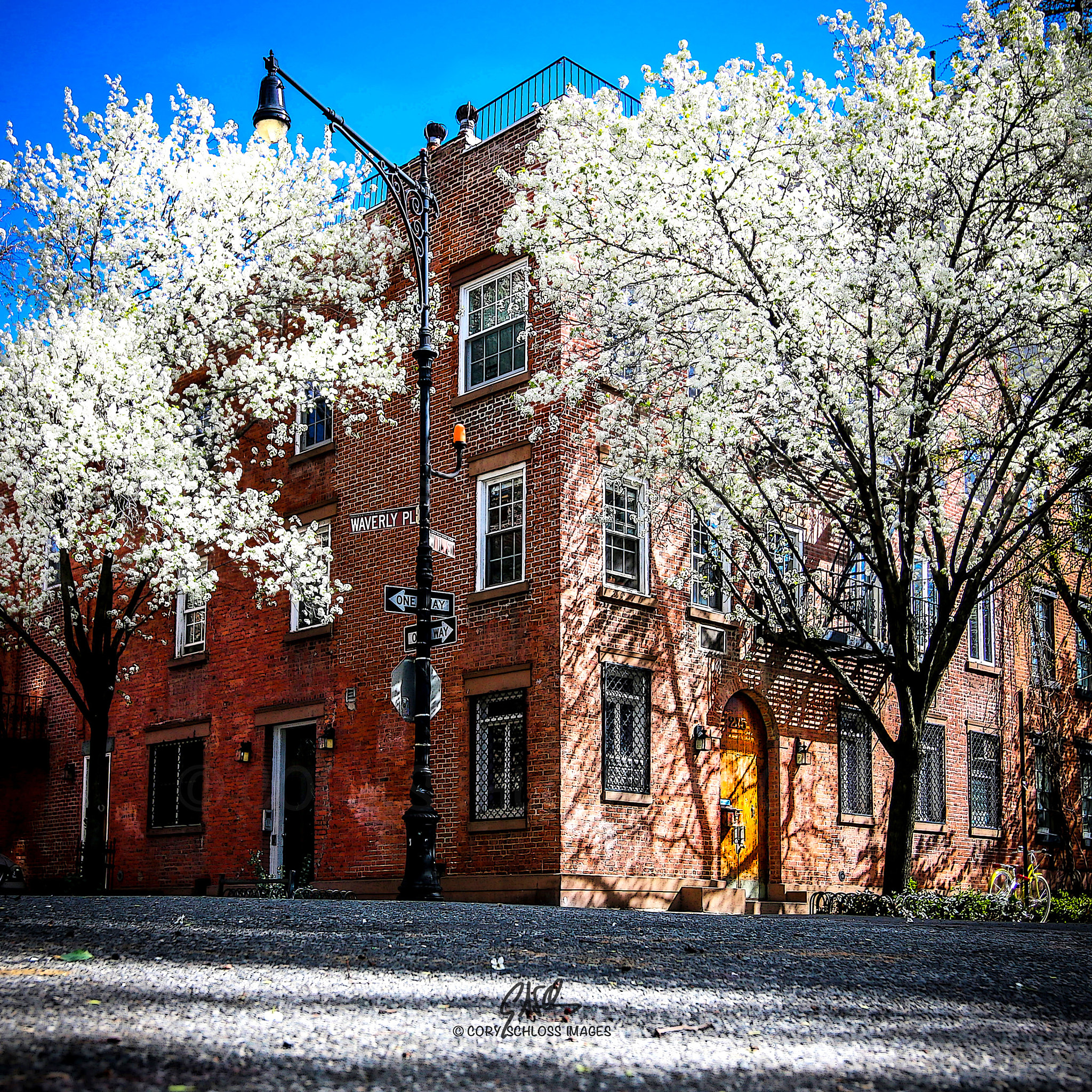 Canon EOS 70D + Canon EF 11-24mm F4L USM sample photo. West village blossoms photography