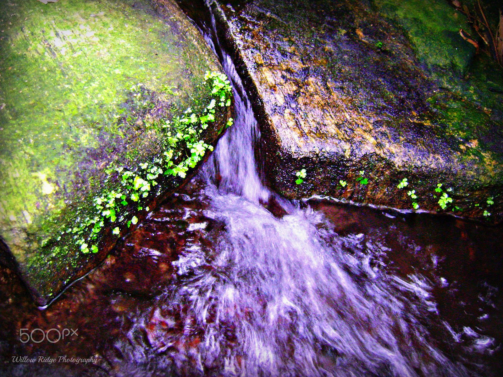 Sony DSC-S730 sample photo. Moss covered rocks photography