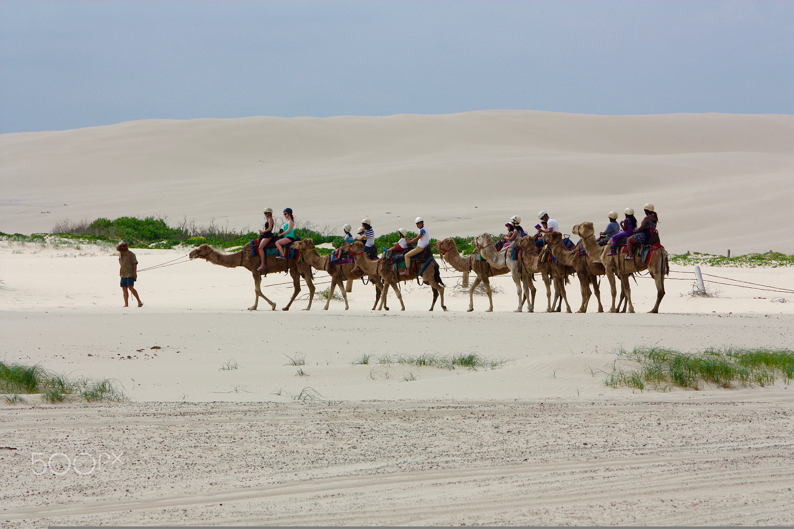 Canon EOS 450D (EOS Rebel XSi / EOS Kiss X2) sample photo. Camel ride photography