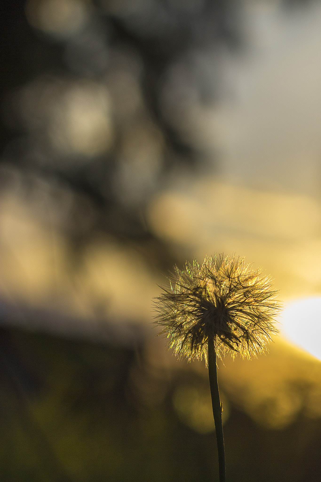 Canon EOS 600D (Rebel EOS T3i / EOS Kiss X5) + Canon EF 50mm F1.4 USM sample photo. Countryside photography