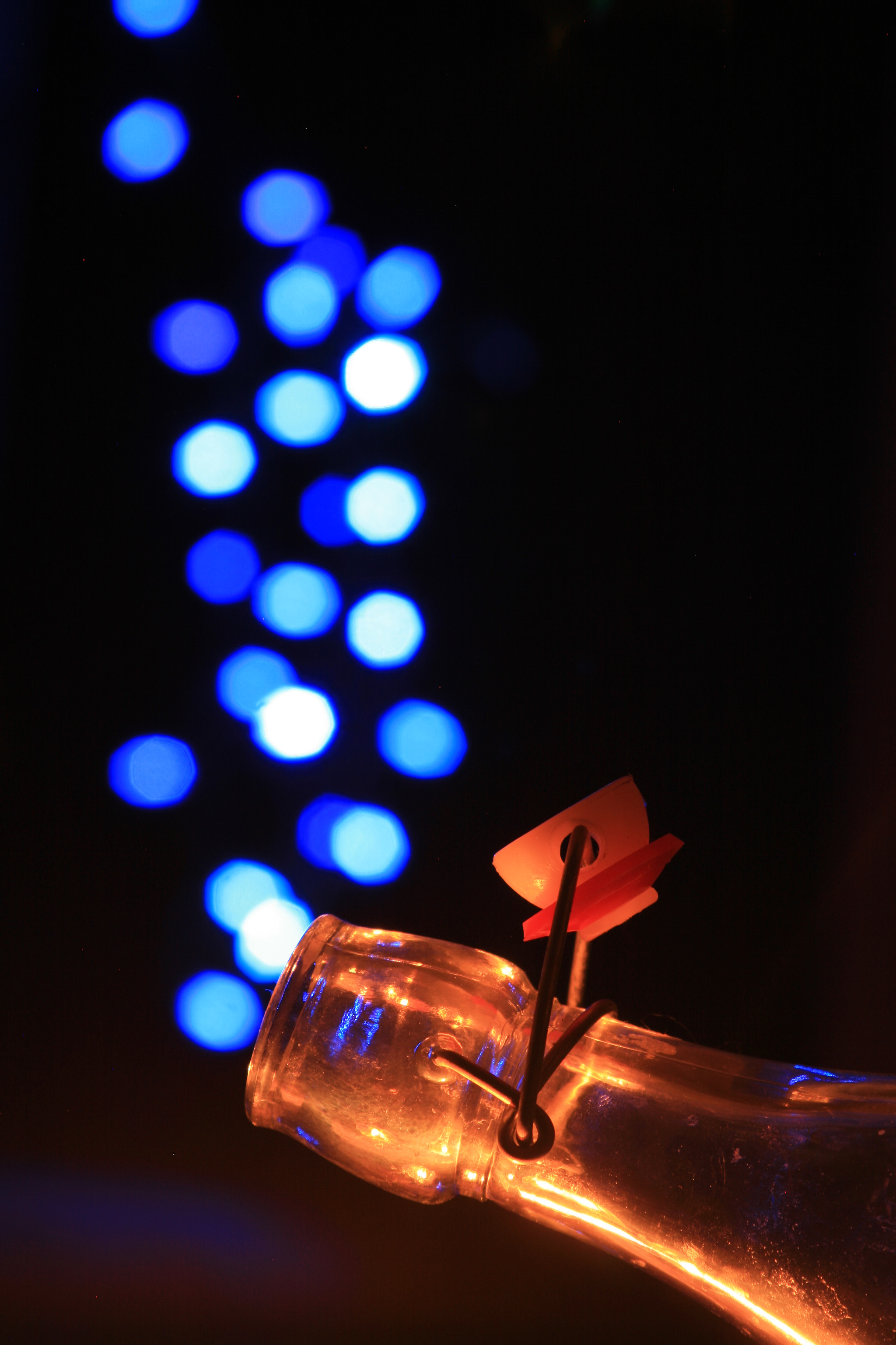 Canon EF 28-105mm f/3.5-4.5 USM sample photo. Bottled bokeh photography