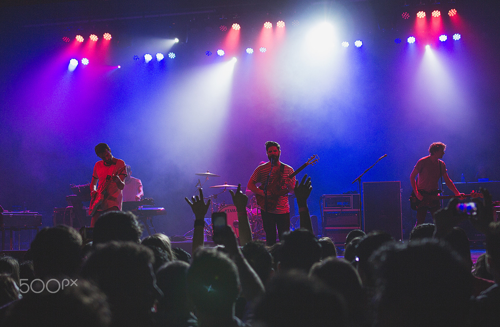 Sigma 24mm F1.4 DG HSM Art sample photo. Foals photography