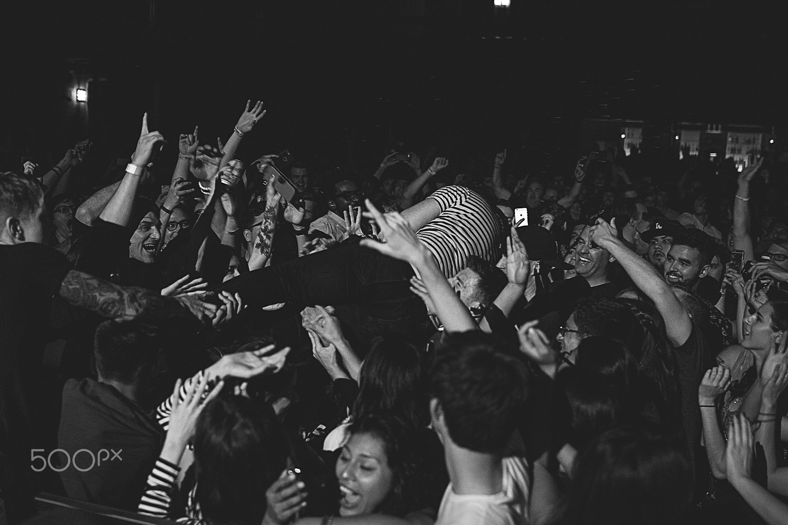 Sigma 24mm F1.4 DG HSM Art sample photo. Foals b&w photography