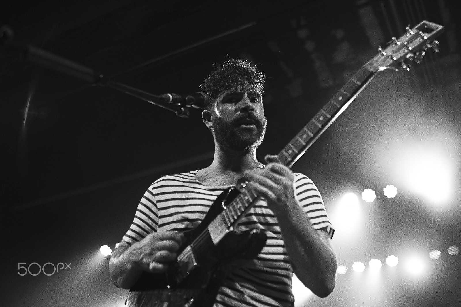 Sigma 24mm F1.4 DG HSM Art sample photo. Foals b&w photography