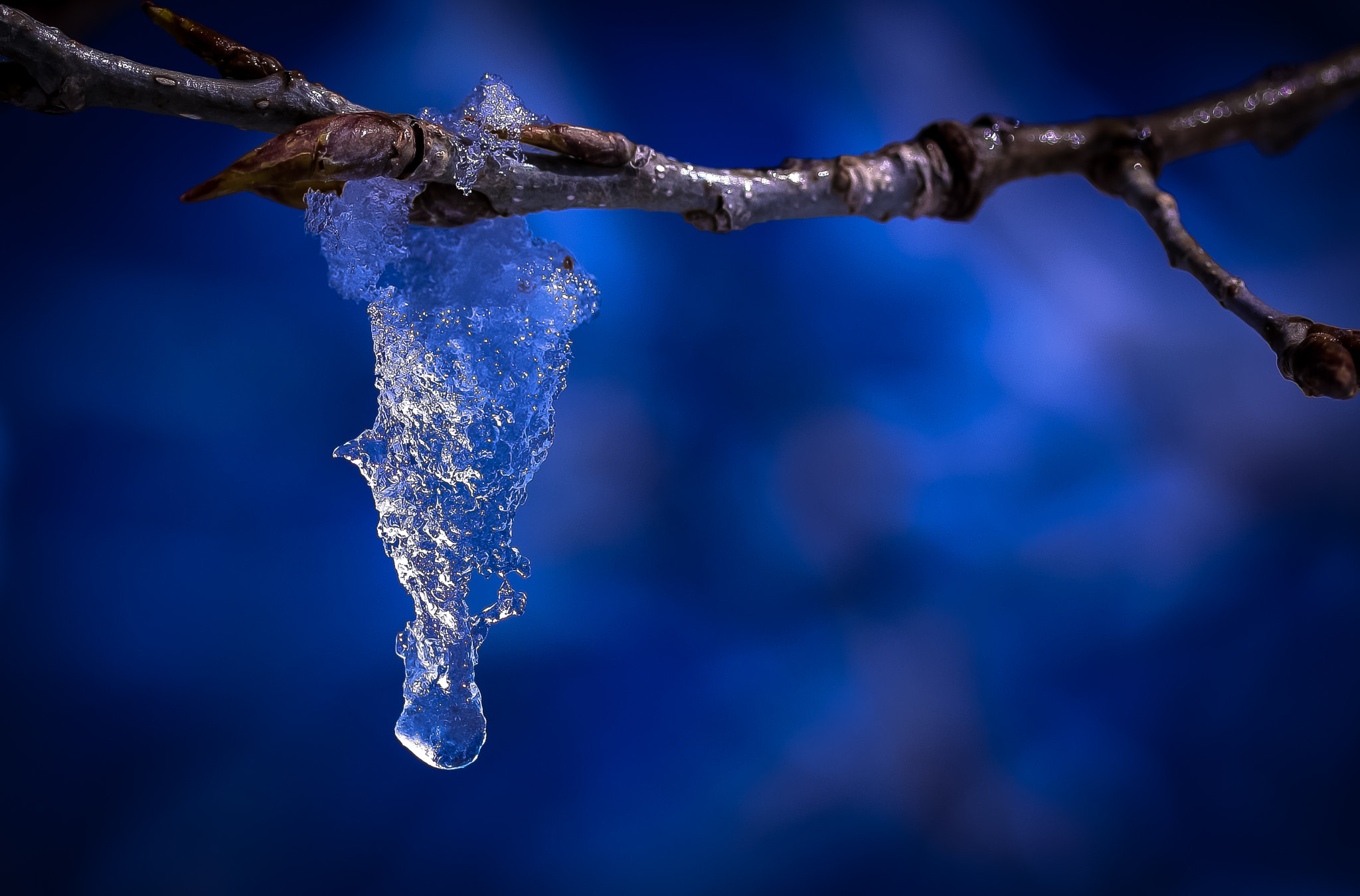 Canon EF-S 60mm F2.8 Macro USM sample photo. Crystal ice photography
