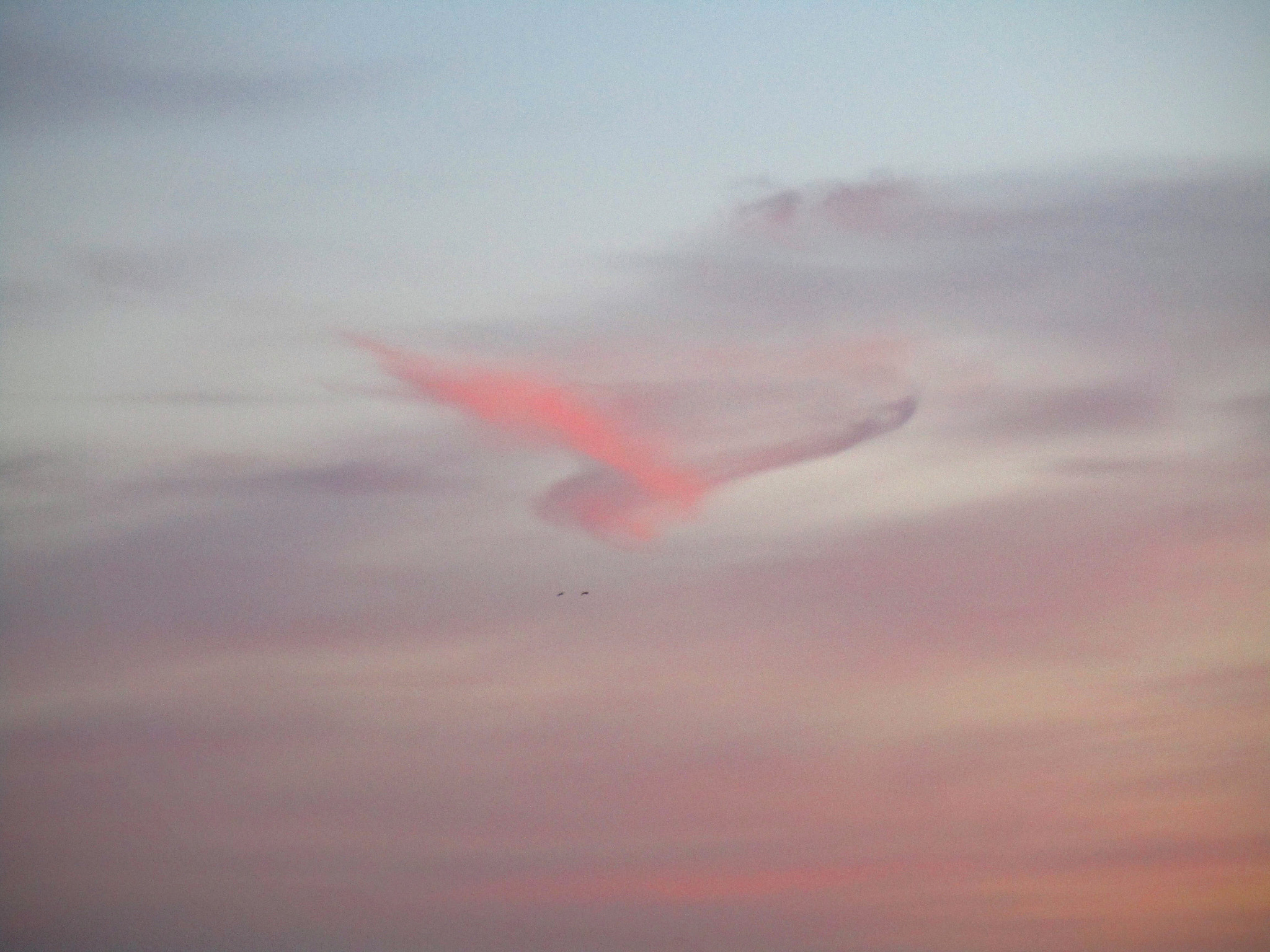 Canon PowerShot ELPH 150 IS (IXUS 155 / IXY 140) sample photo. "bird" in the evening sky photography