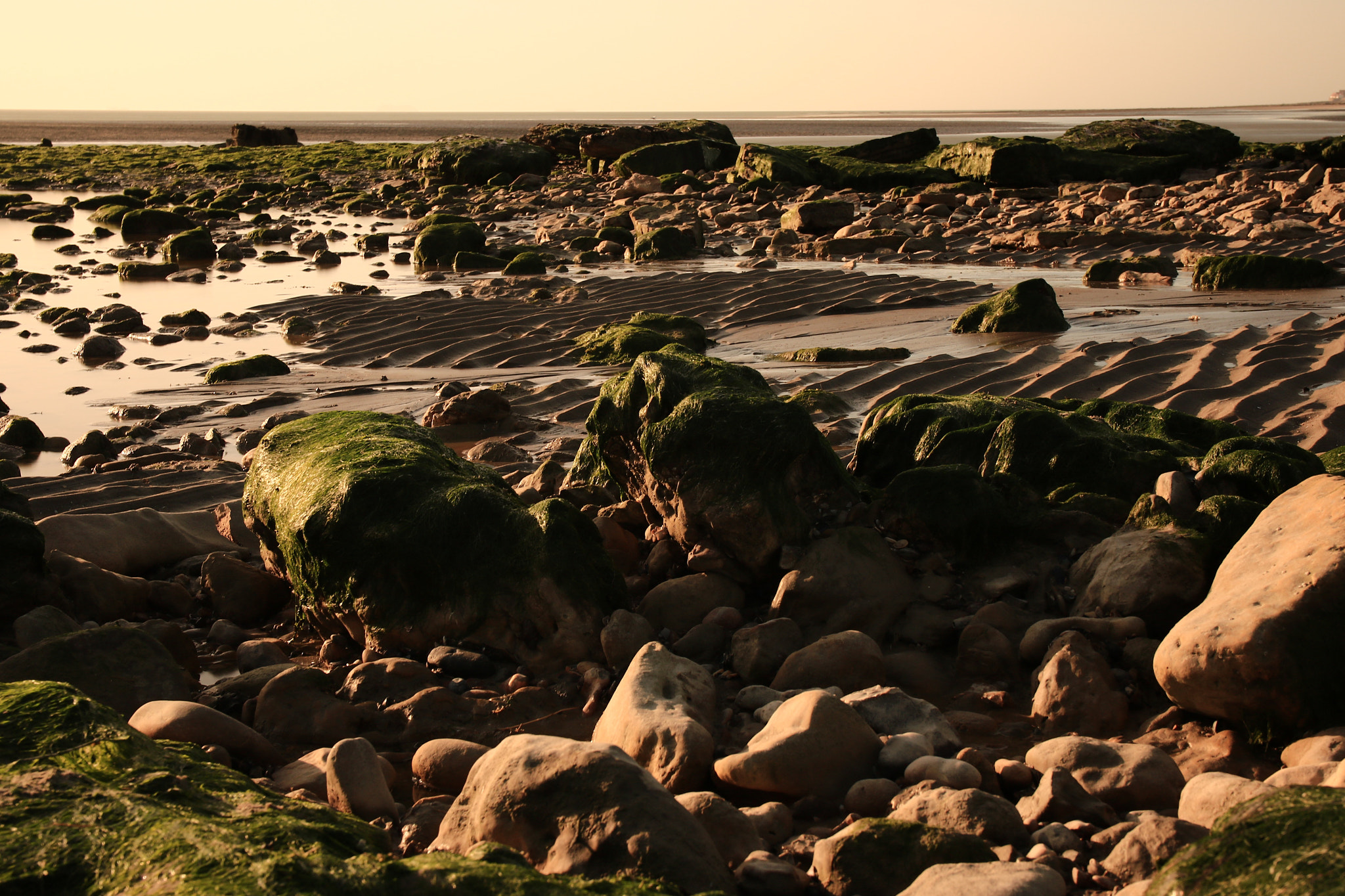 Canon 17-70mm sample photo. #côte d'opale #pas de calais #wimereux #pointe au oies photography