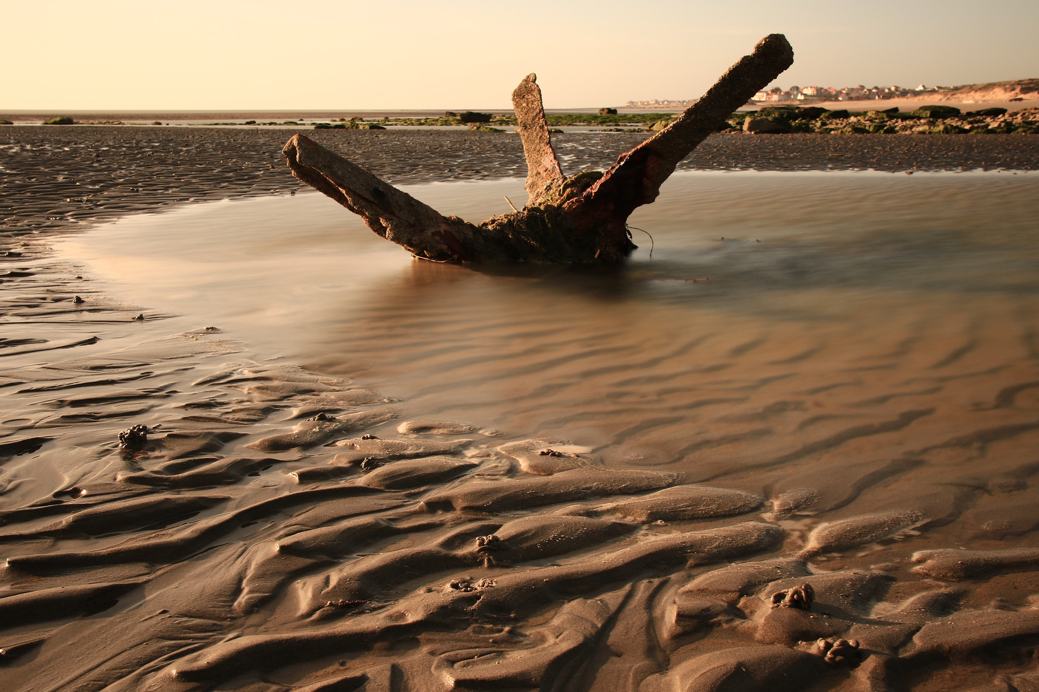 Canon 17-70mm sample photo. #côte d'opale #pas de calais #wimereux #pointe au oies photography