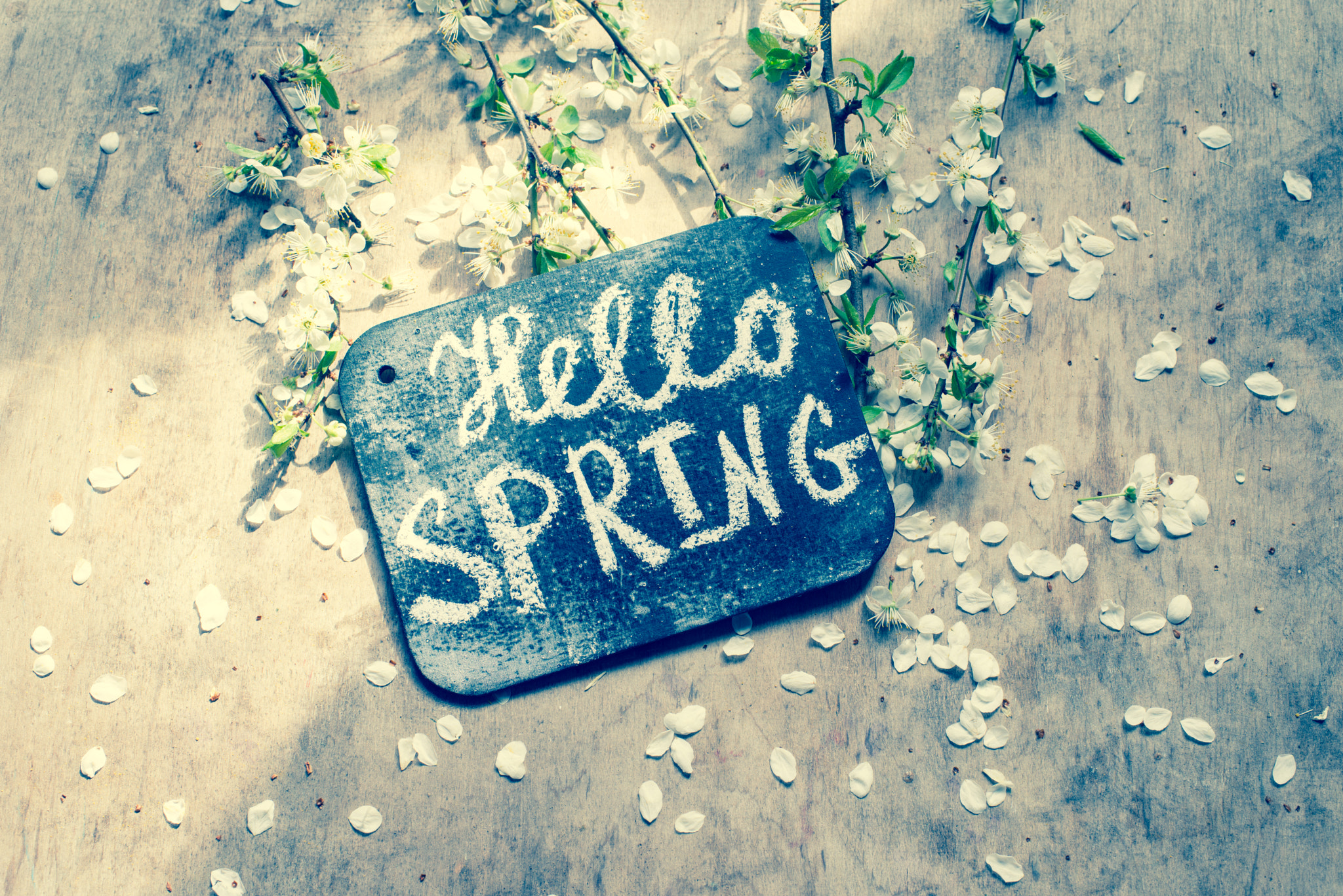 Nikon D800E + Nikon AF-S Nikkor 35mm F1.4G sample photo. Hello spring photography