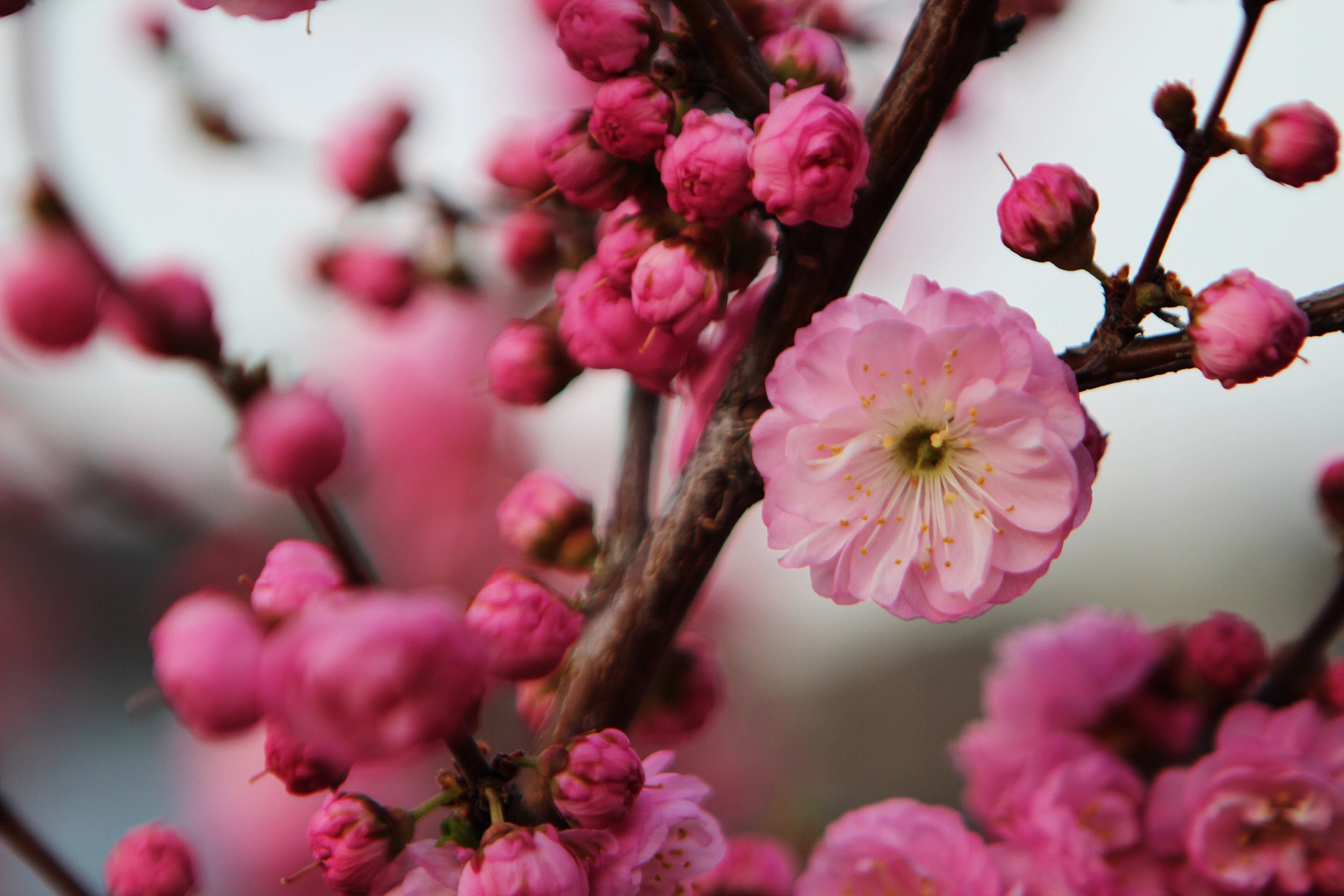 Canon EF 24-70mm F2.8L USM sample photo