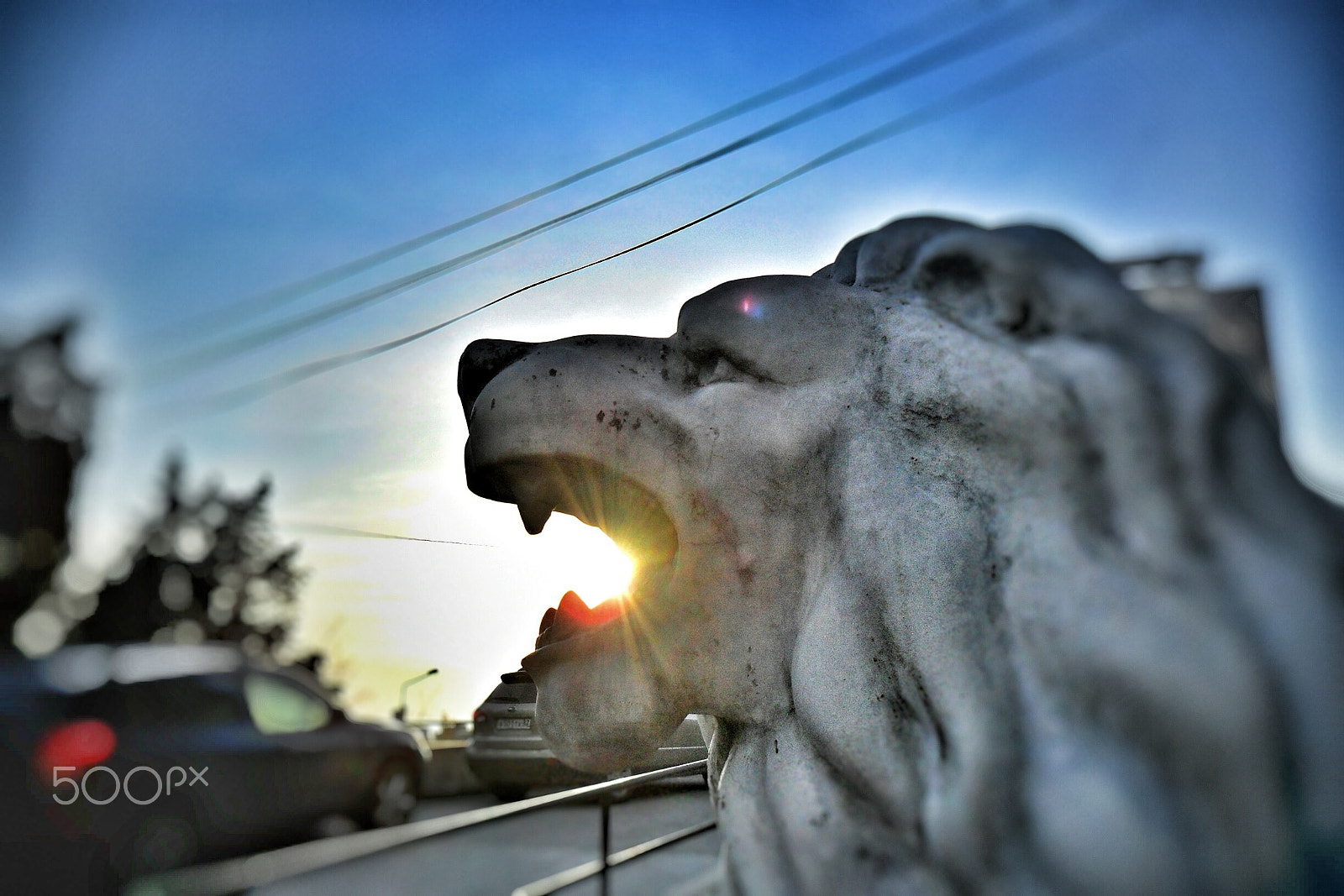 Samsung ES73 / VLUU ES73 /  SL605 sample photo. Sunset lion photography