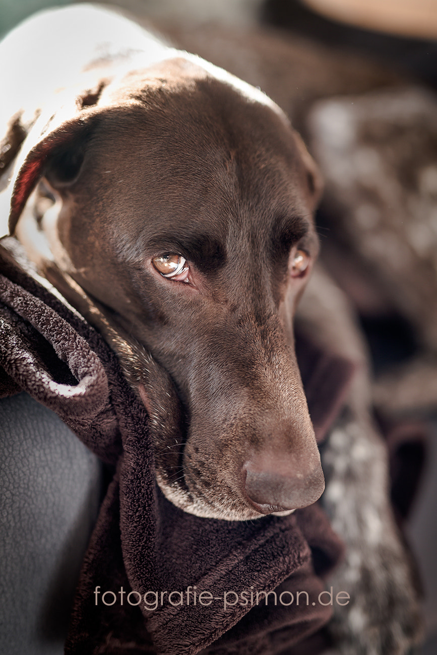 Sigma 50mm F1.4 EX DG HSM sample photo. The greatest love of all photography