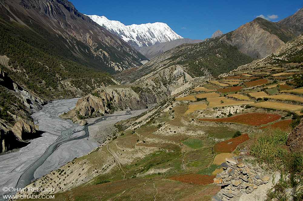 Nikon D70s sample photo. Annapurna district, nepal. photography