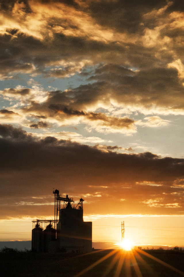 Nikon AF-S Micro-Nikkor 60mm F2.8G ED sample photo. Morning glory  photography