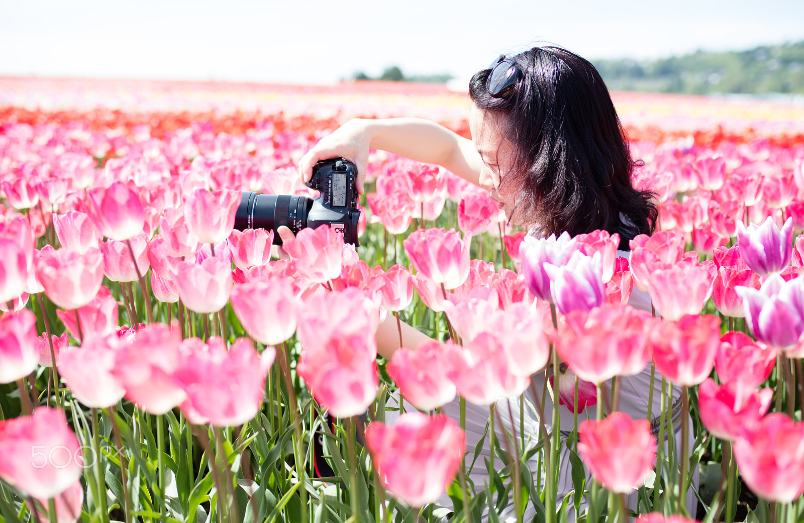 Canon EOS 5DS R sample photo. Flowers and photo taker photography
