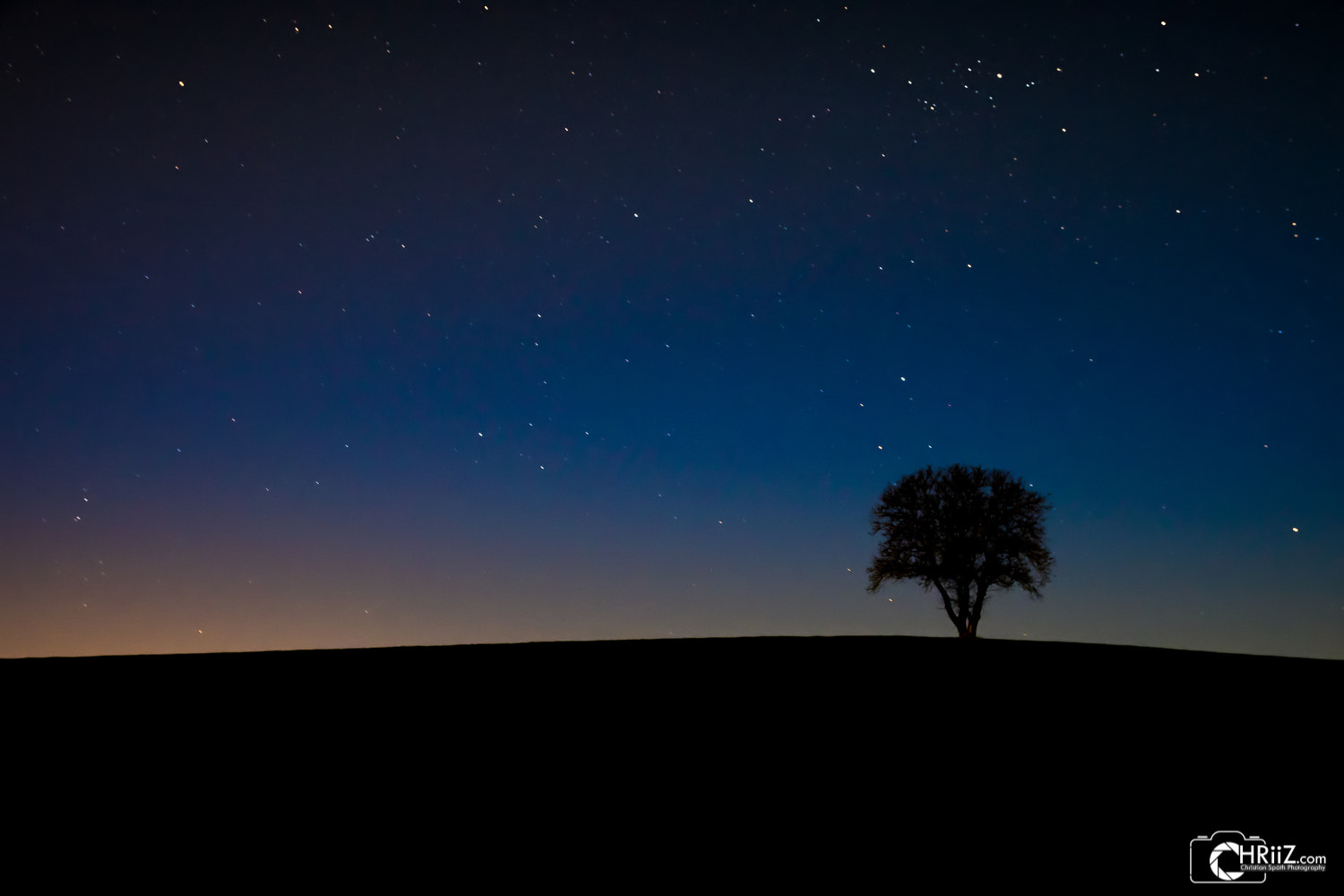 Sigma 17-70mm F2.8-4 DC Macro OS HSM | C sample photo. Night tree photography