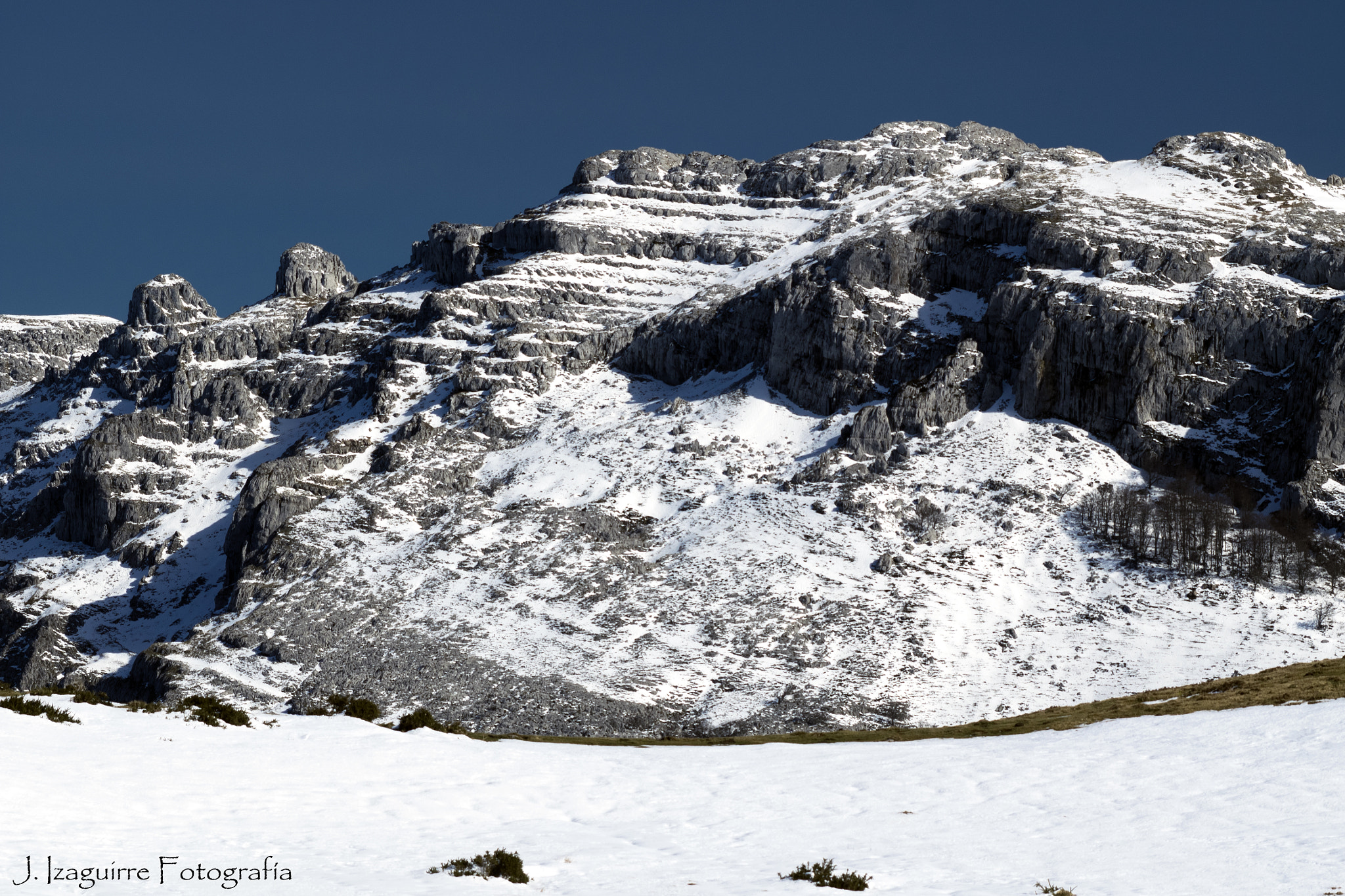 Olympus Zuiko Digital ED 70-300mm F4.0-5.6 sample photo. Mortillano 1415mts photography