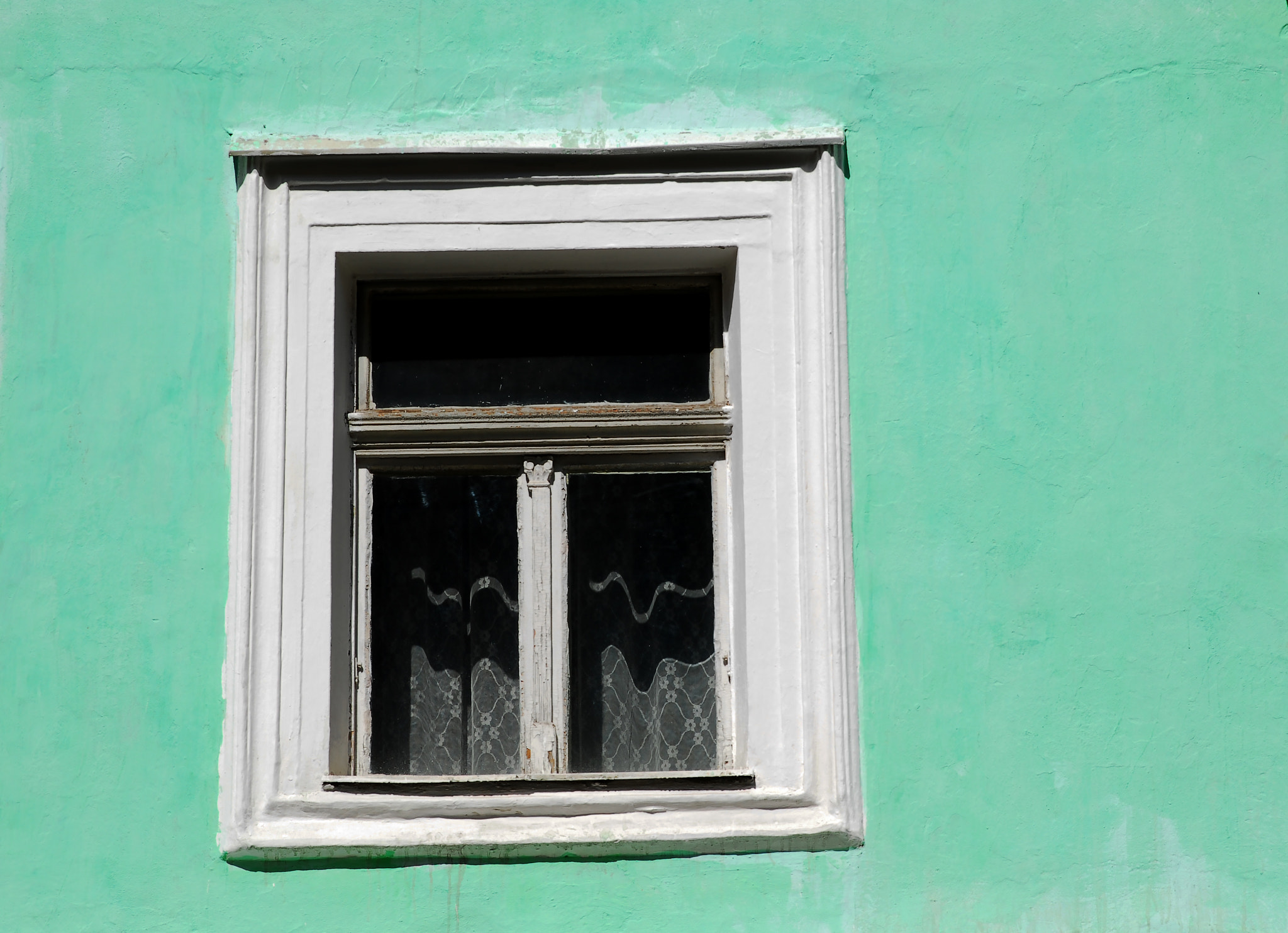 Nikon D200 sample photo. Green wall photography