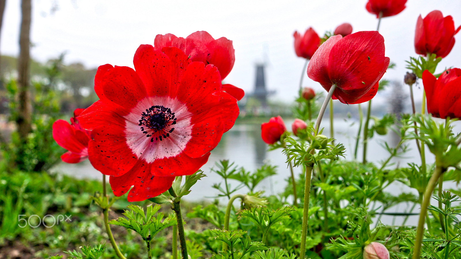 Sony Alpha NEX-7 + Sony Sonnar T* E 24mm F1.8 ZA sample photo. Hdr photography