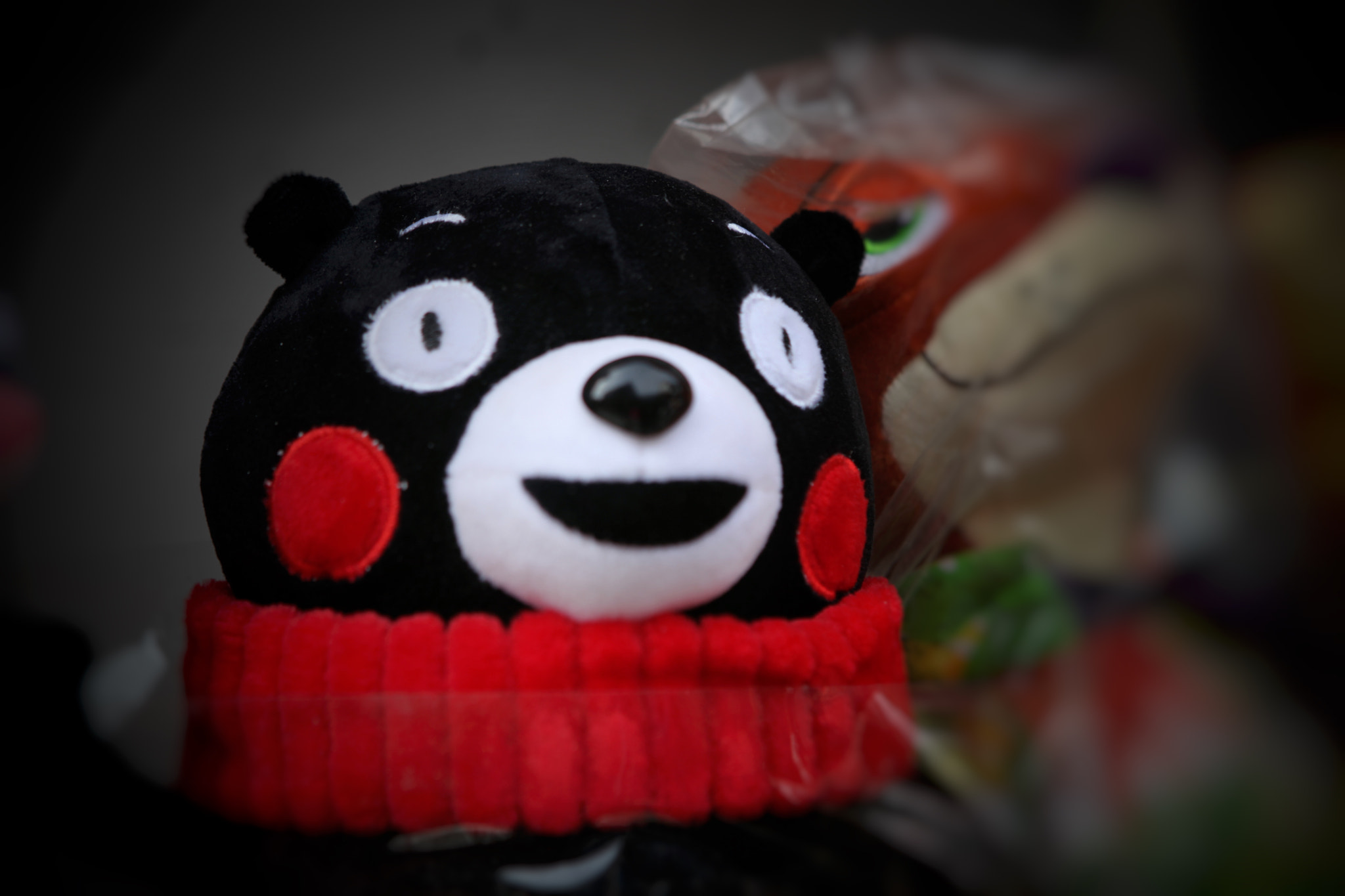 Canon EF 24-70mm F2.8L USM sample photo. がんばれ、 photography
